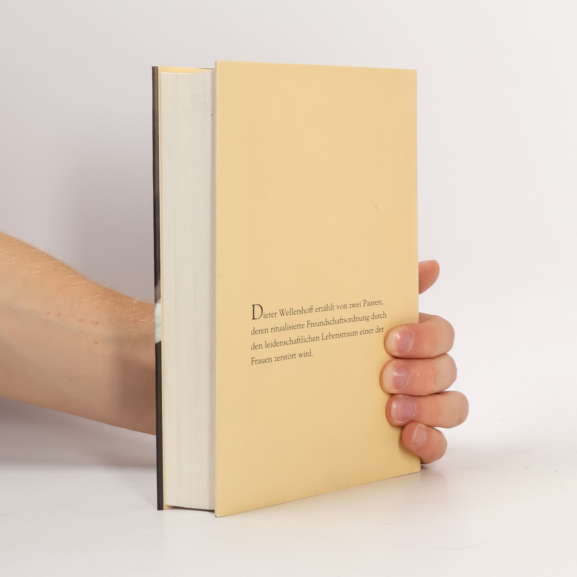 Dieter Wellershoff Der Liebeswunsch