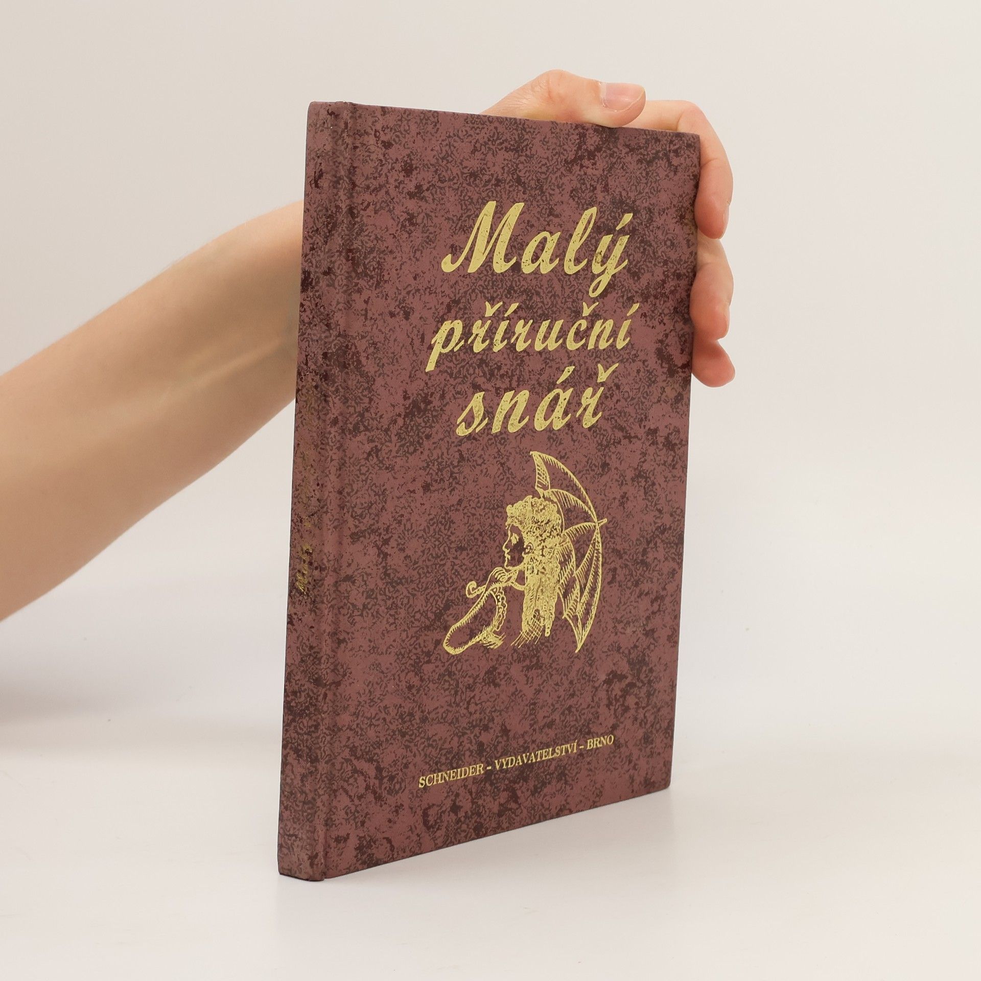 Autorenkollektiv Malý příruční snář