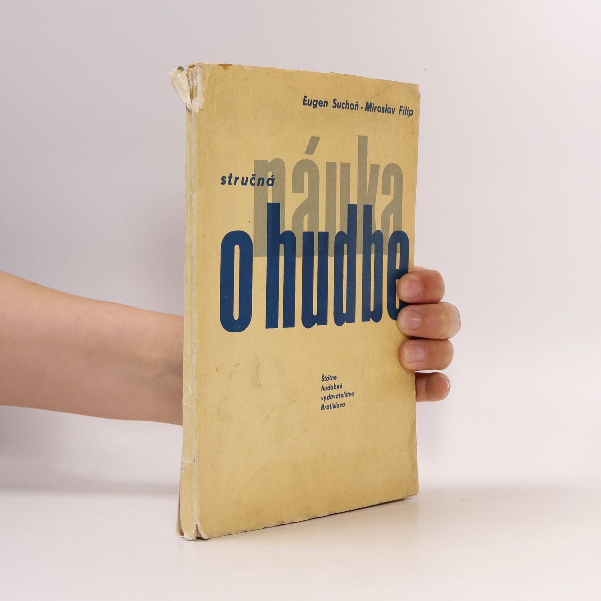 Collectif d'auteurs Stručná náuka o hudbe