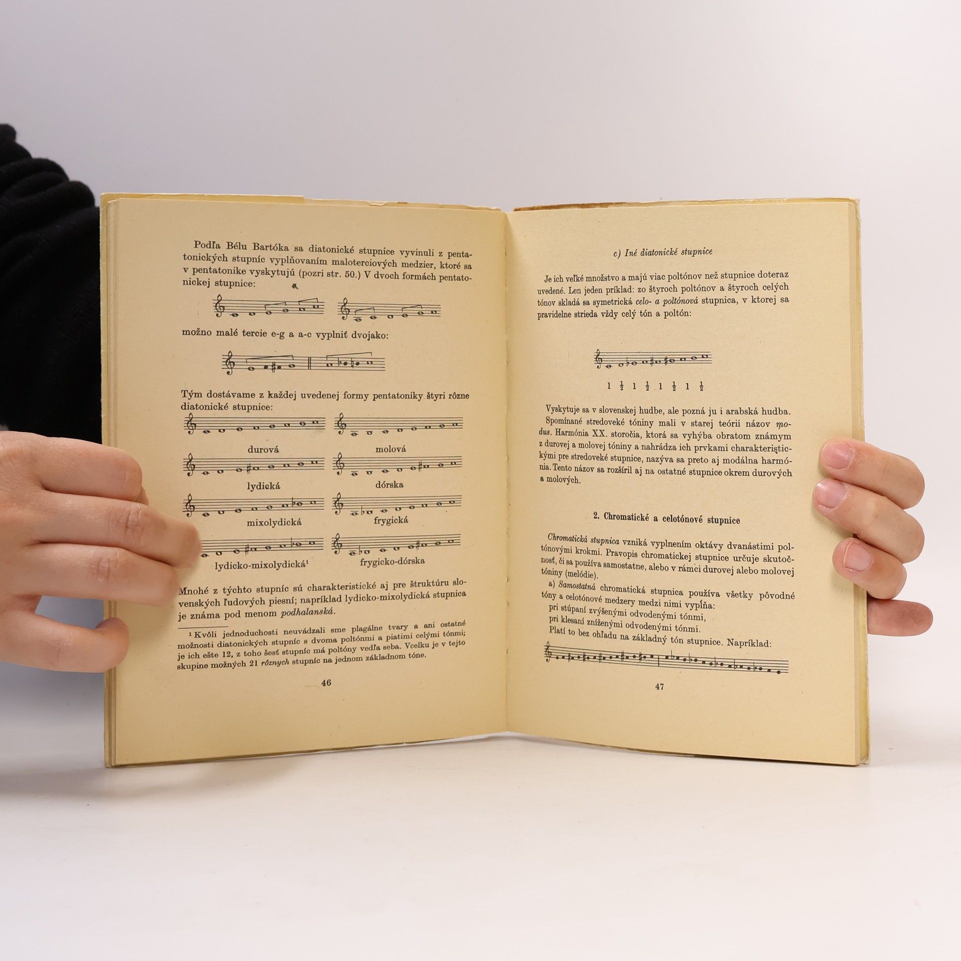 Collectif d'auteurs Stručná náuka o hudbe