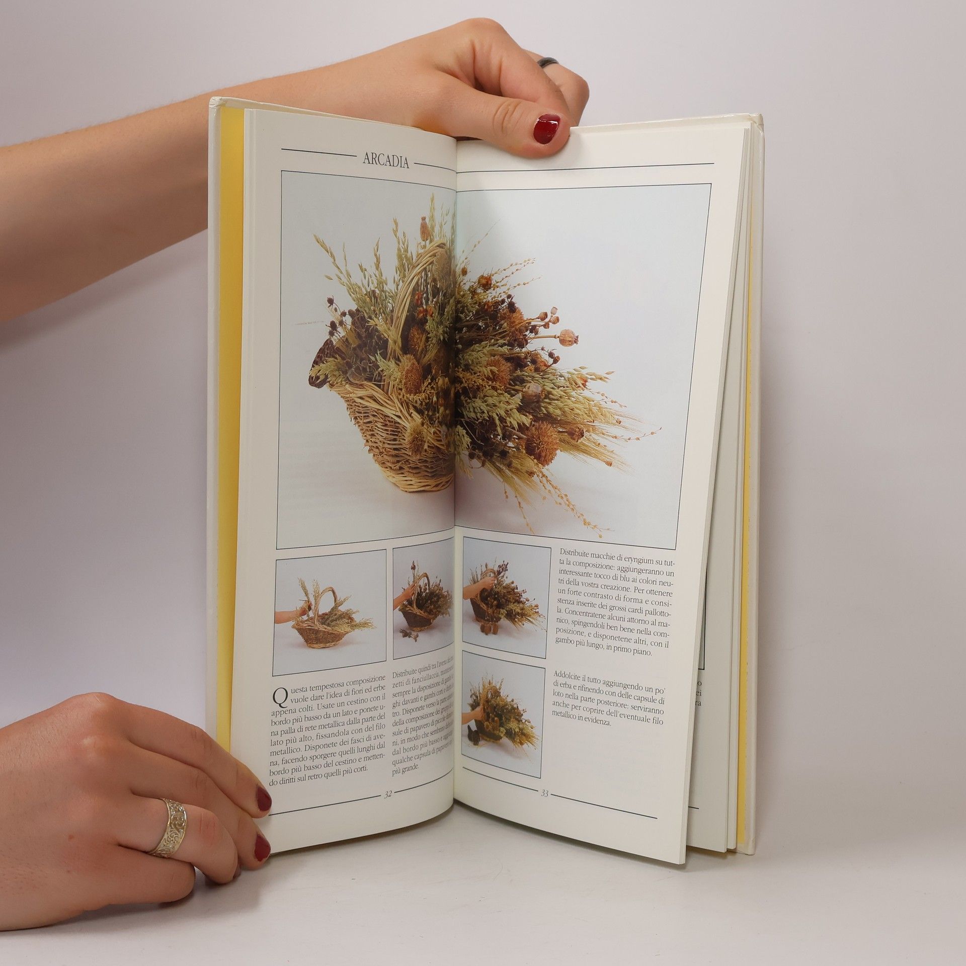 Sarah Waterkeyn Illustrati. Libri creativi: Fiori secchi