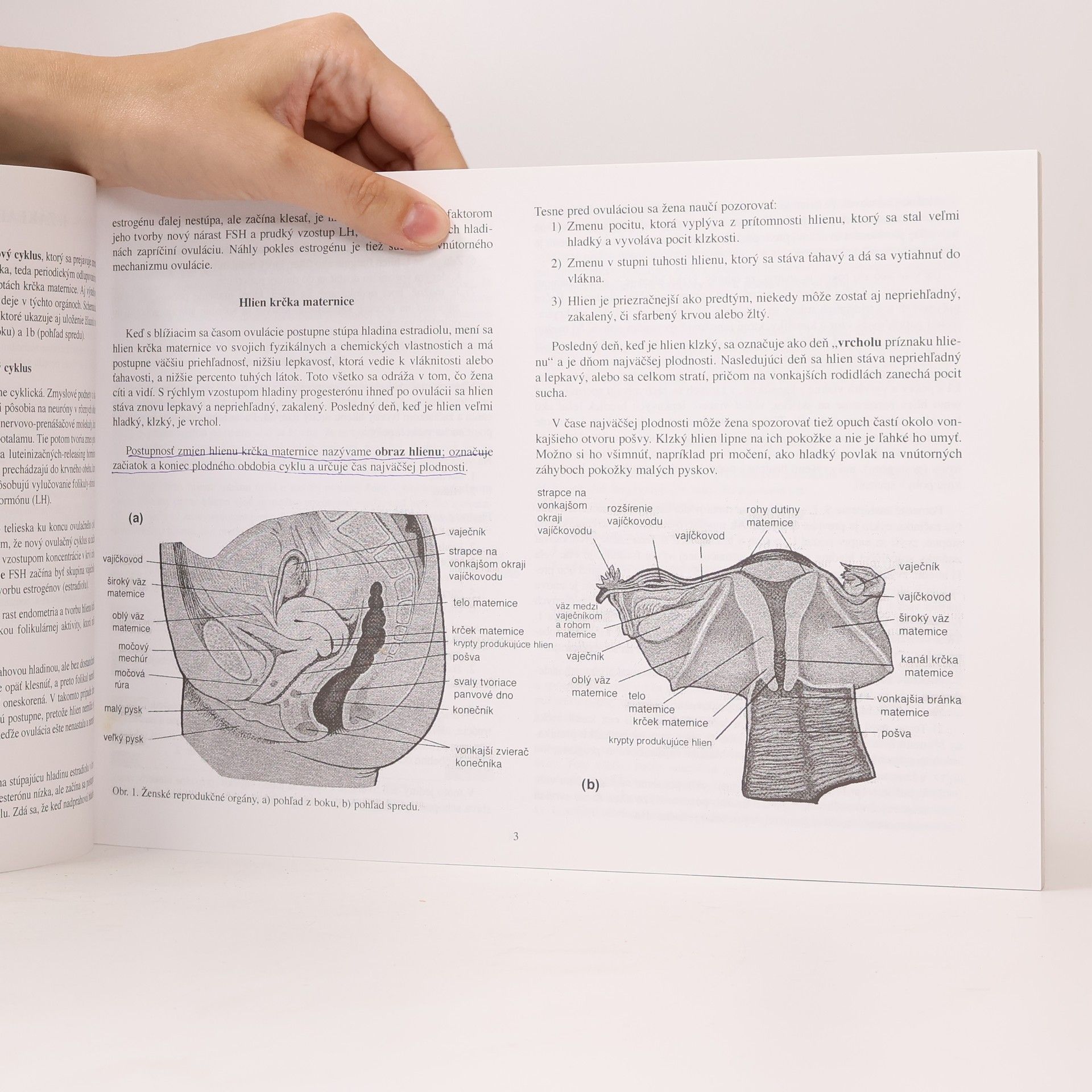 Evelyn L. Billings Atlas Billingsovej ovulačnej metódy