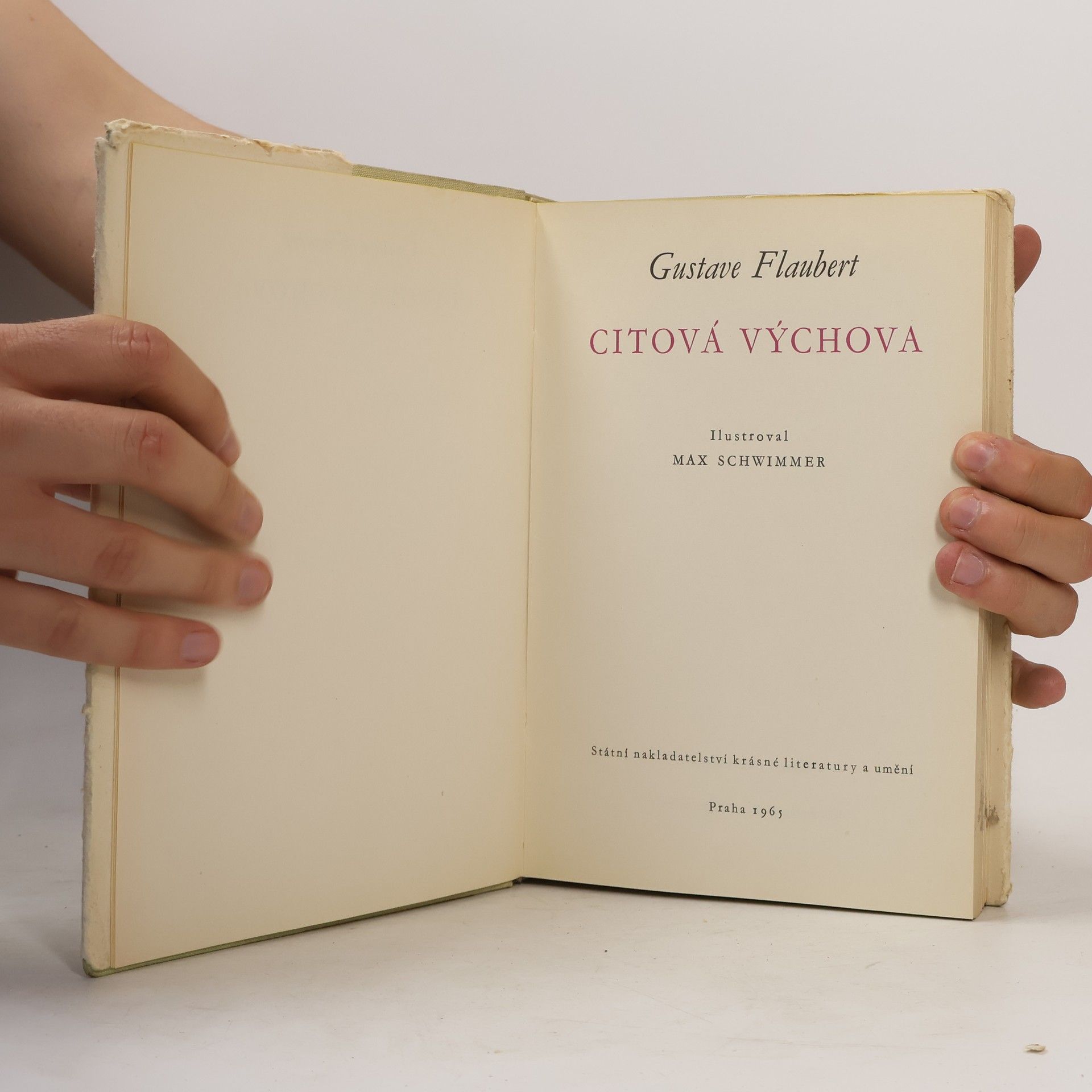 Gustave Flaubert Citová výchova