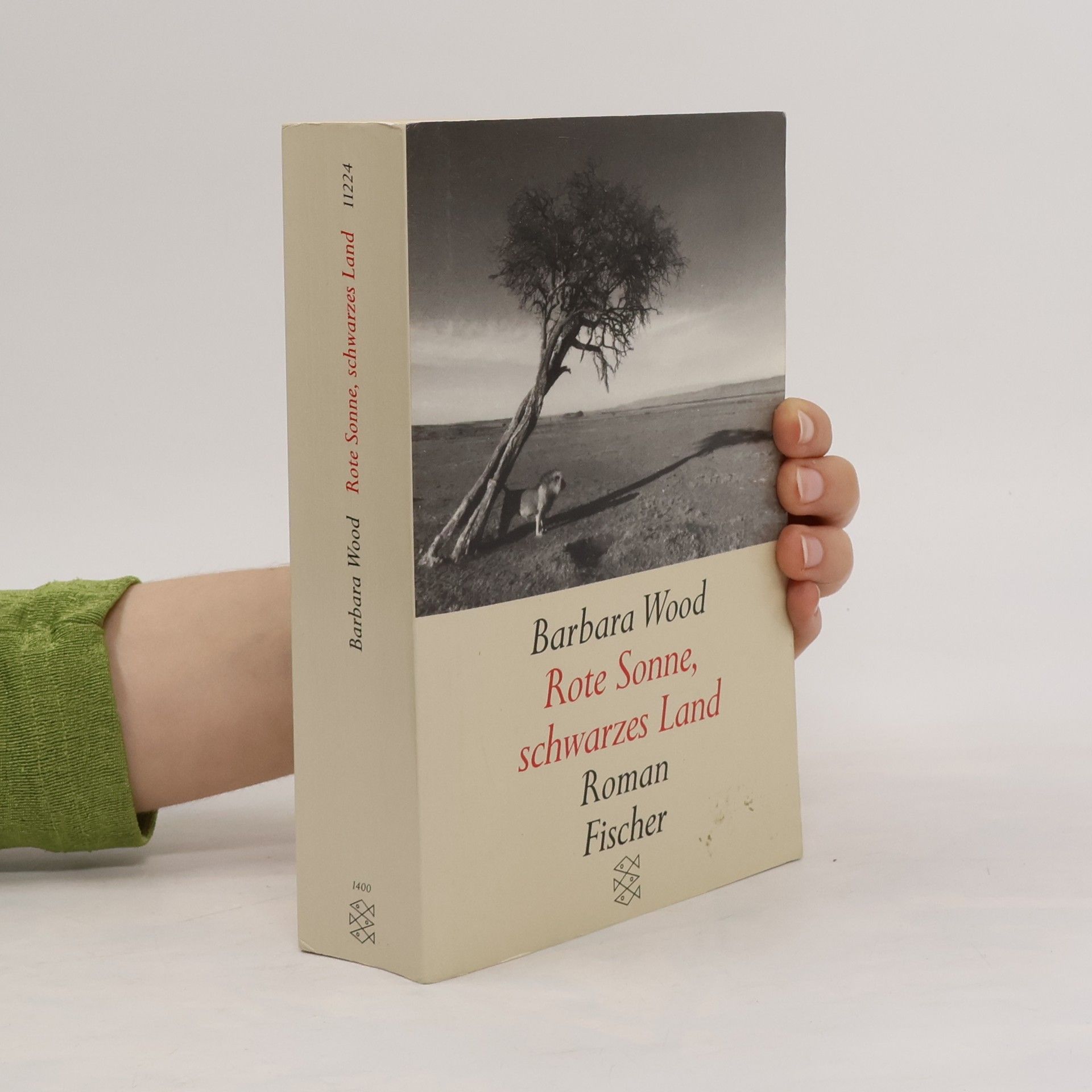 Barbara Wood Rote Sonne schwarzes Land
