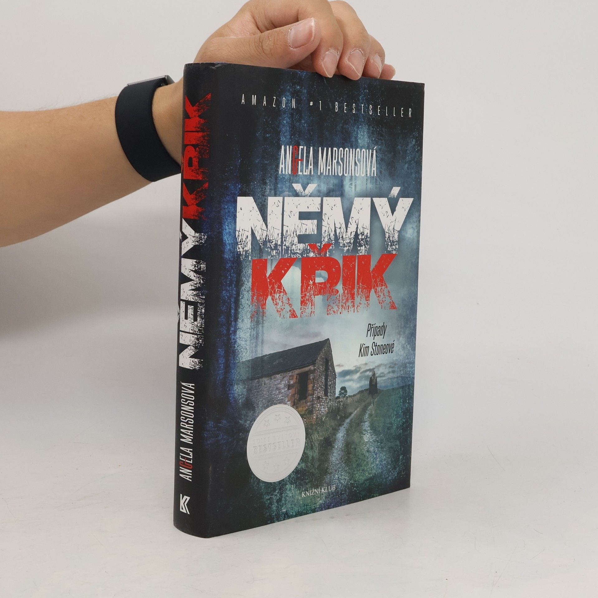 Angela Marsons Němý křik