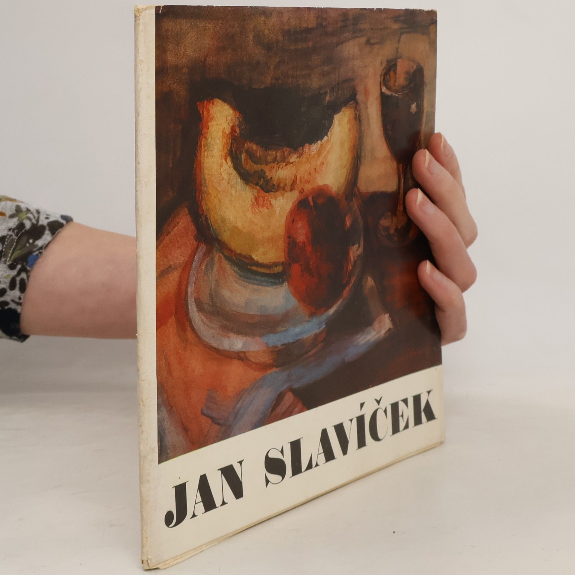 Kolektiv autorů Jan Slavíček