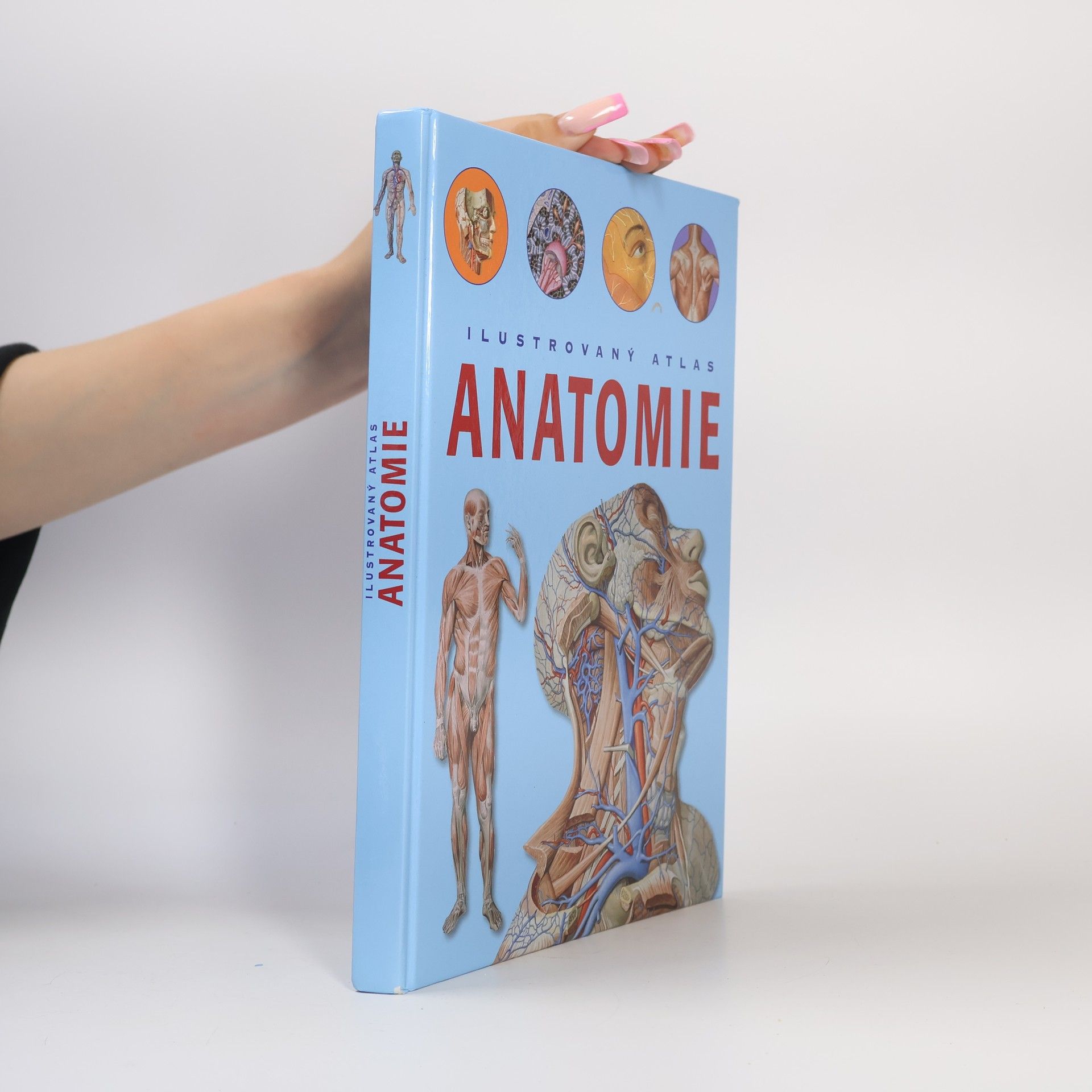 Adriana Rigutti Ilustrovaný atlas anatomie