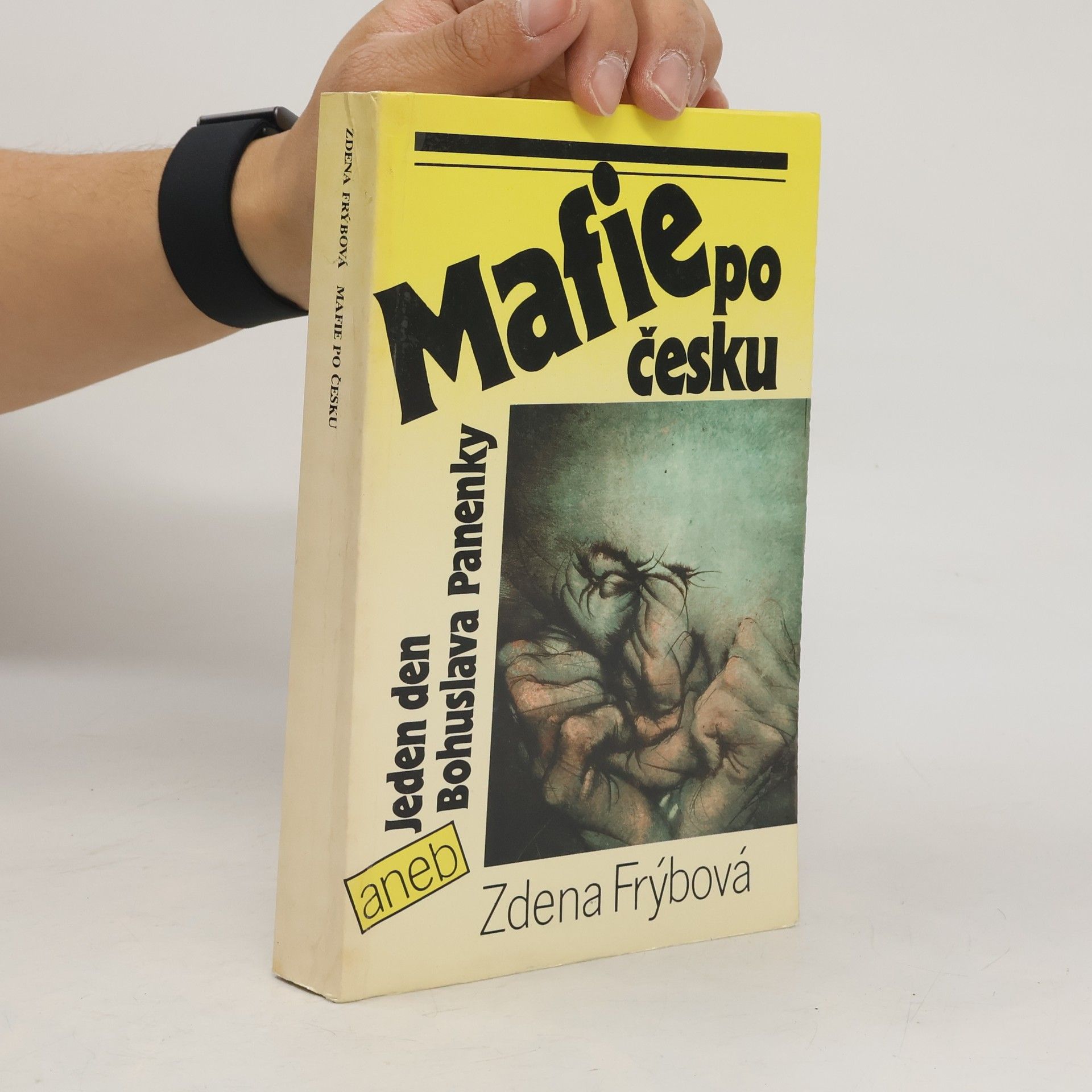 Zdena Frýbová Mafie po česku