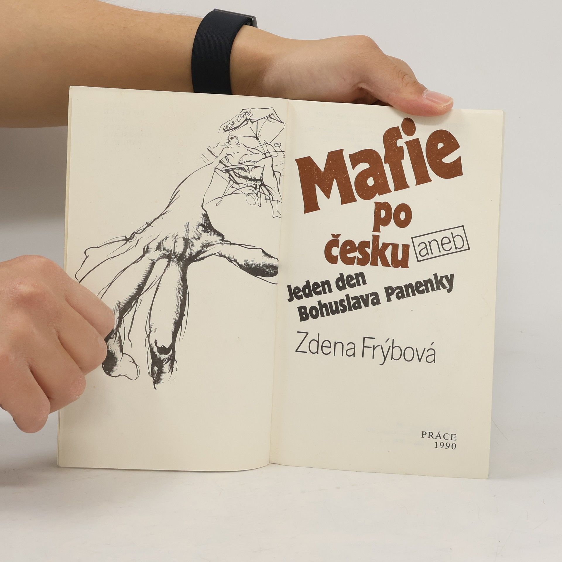 Zdena Frýbová Mafie po česku