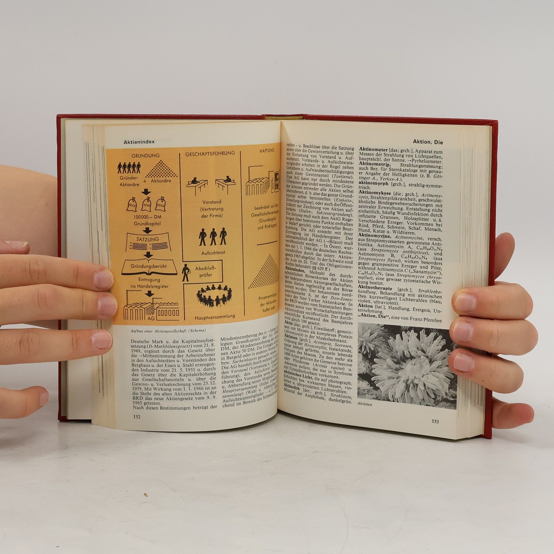 AA.VV. Das moderne Lexikon 1. A-Art