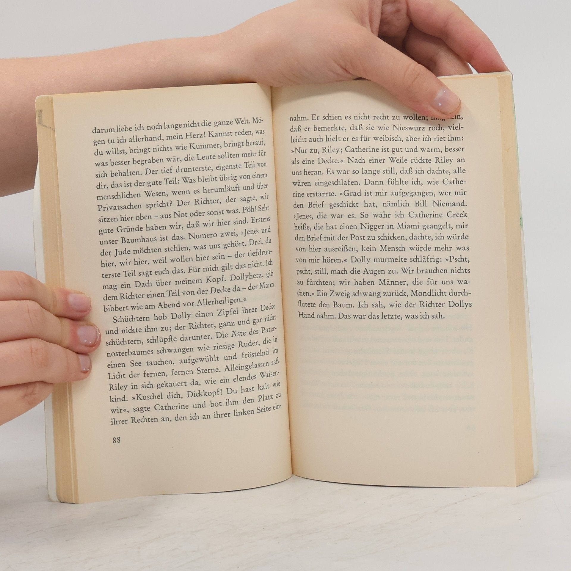Truman Capote Die Grasharfe