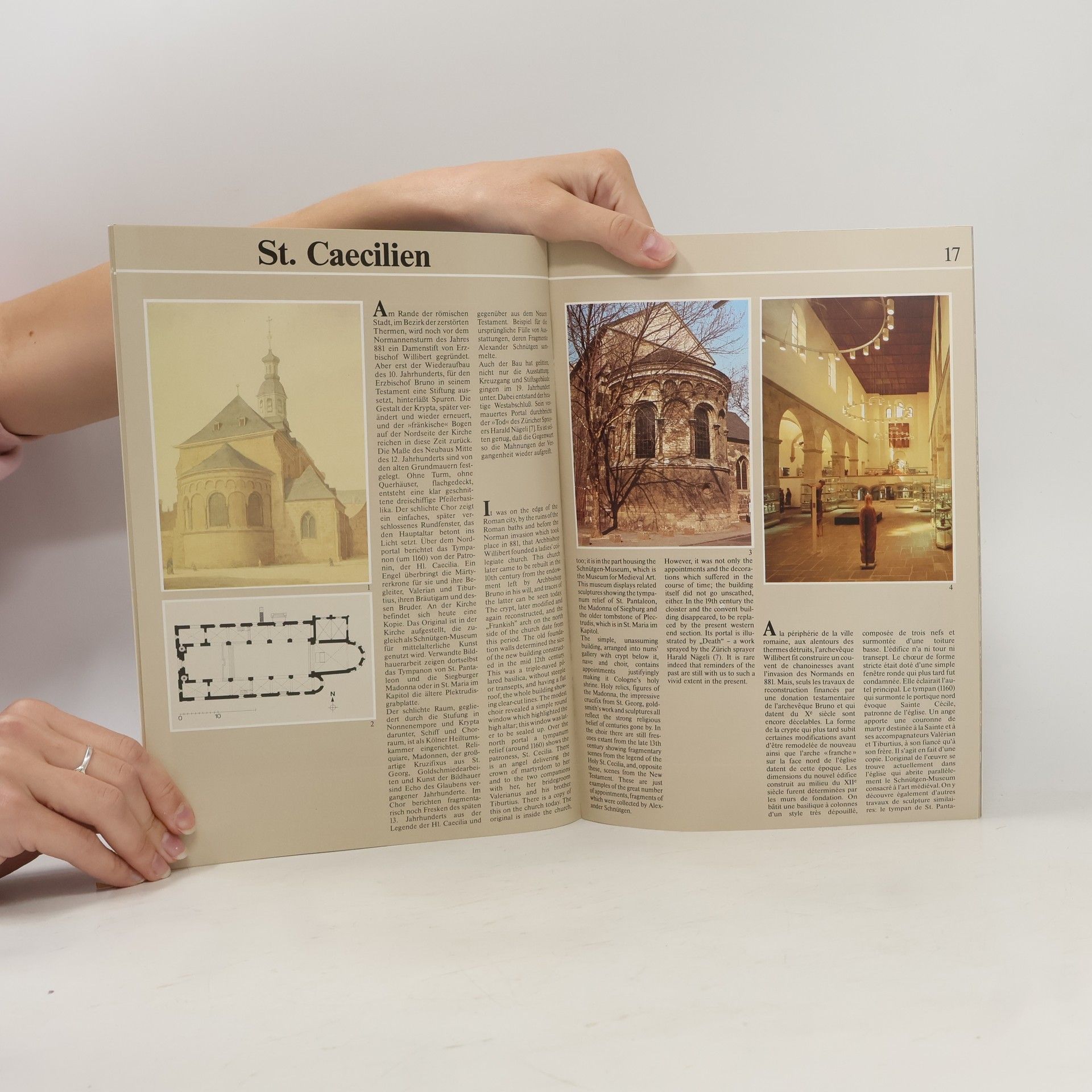 Collectif d'auteurs Romanische Kirchen in Köln