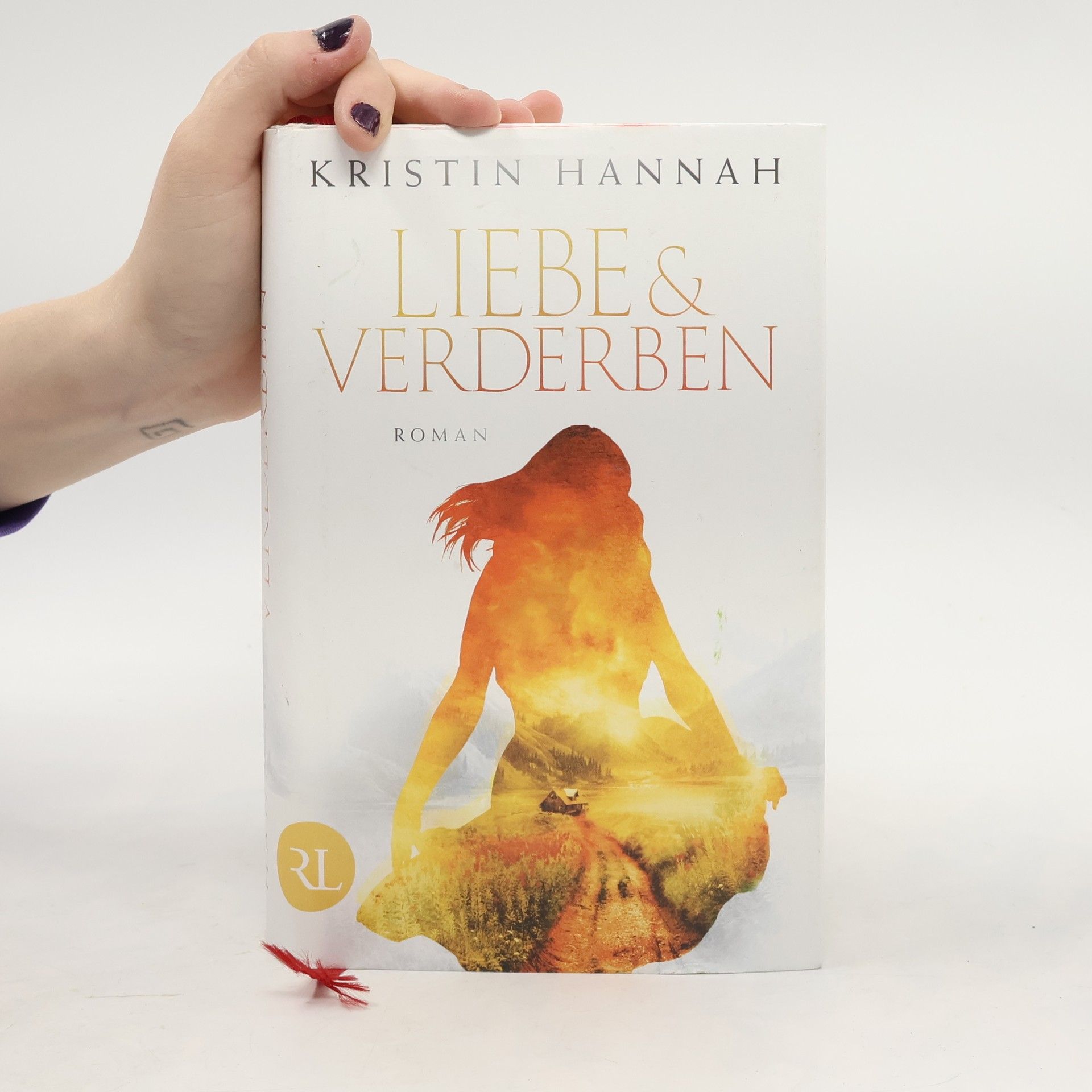 Kristin Hannah Liebe und Verderben