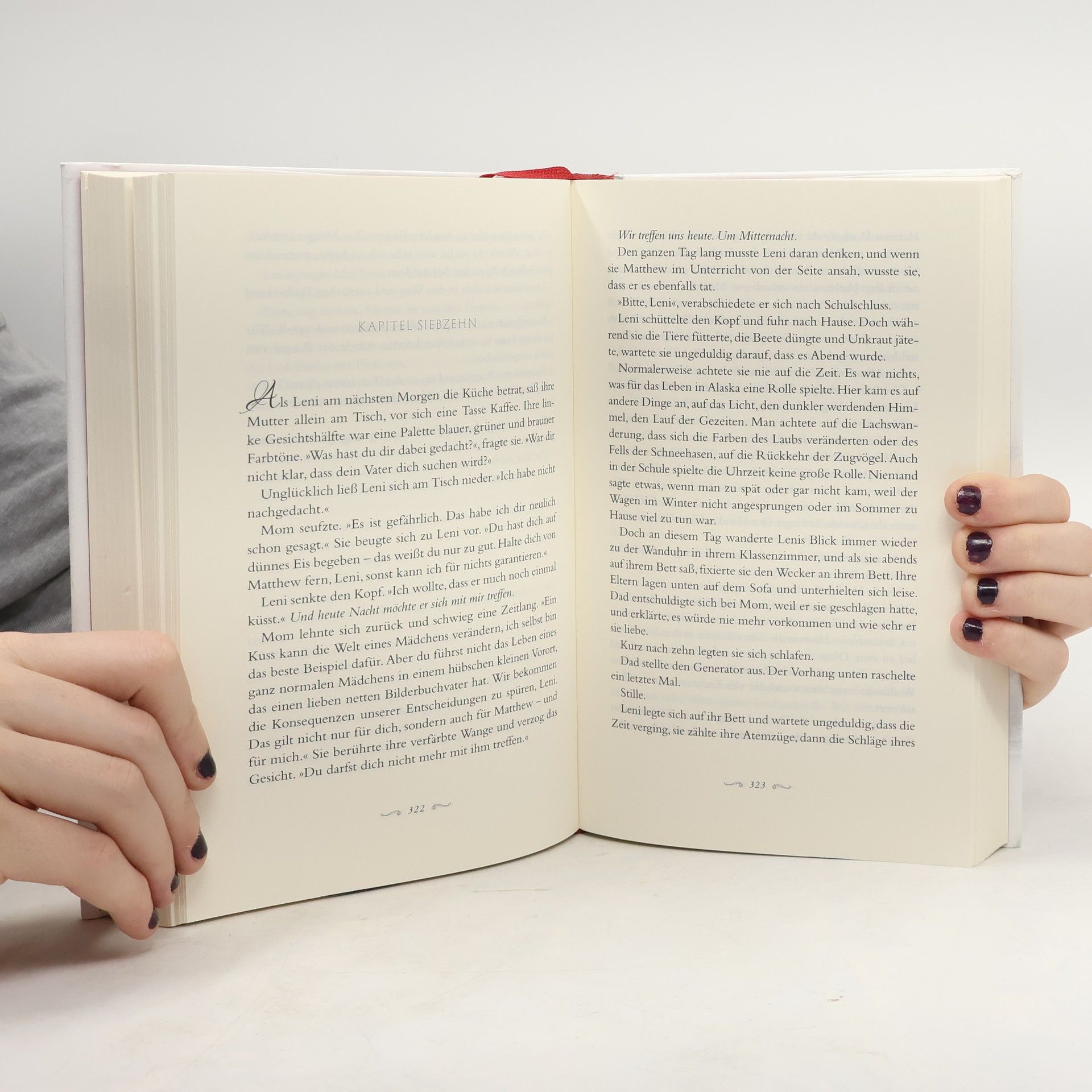 Kristin Hannah Liebe und Verderben
