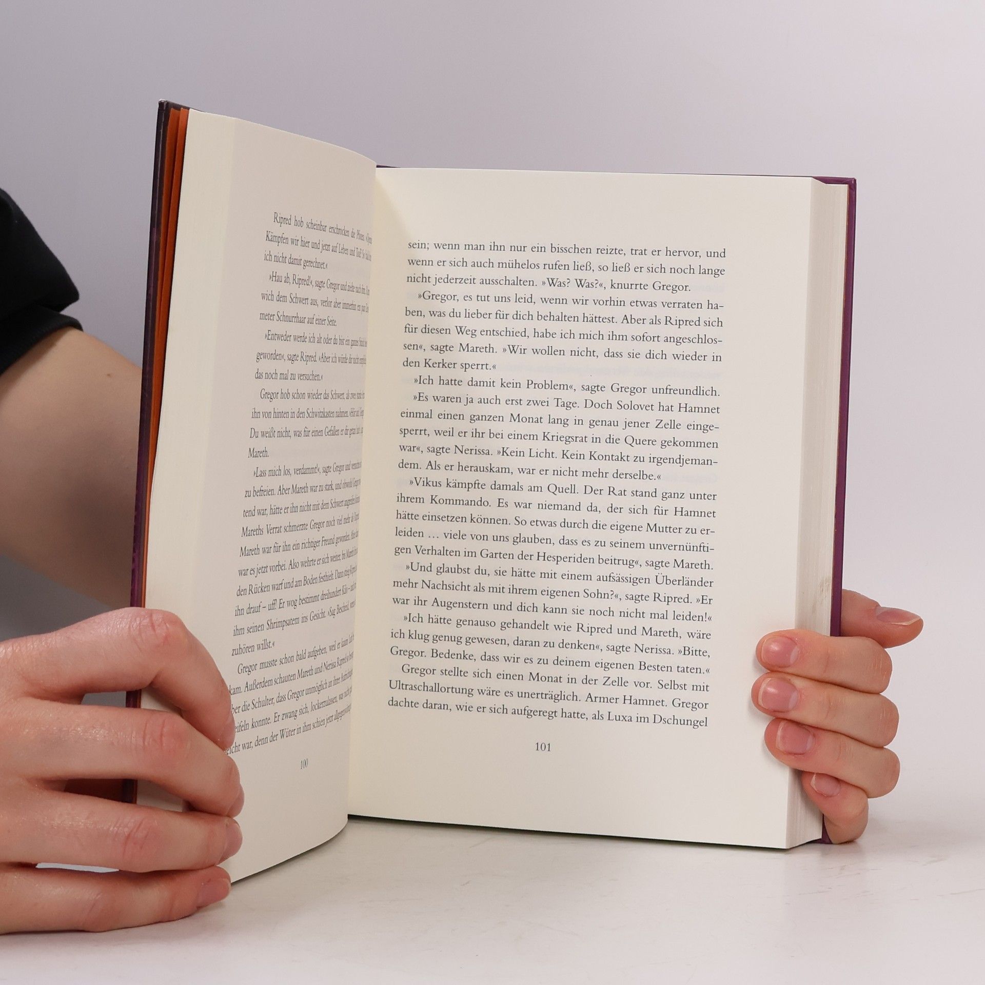 Suzanne Collins Gregor und das Schwert des Kriegers