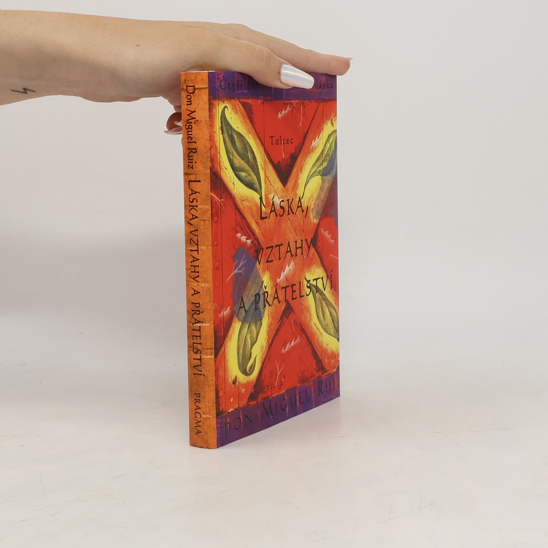 Don Miguel Ruiz Láska, vztahy a přátelství