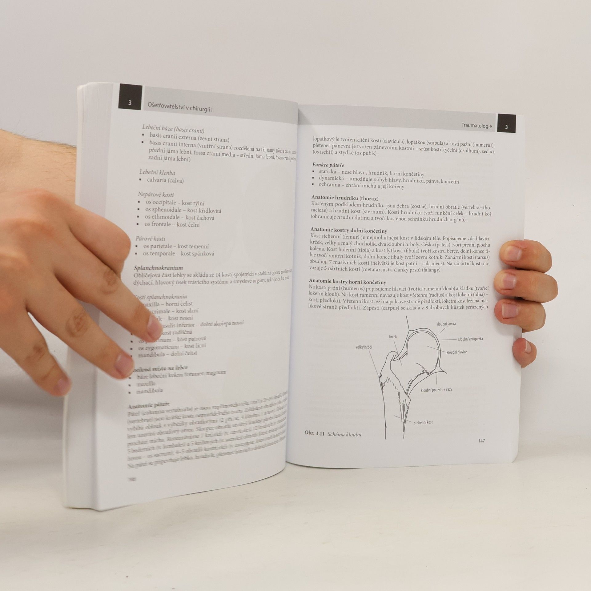 Lenka Slezáková Ošetřovatelství v chirurgii I