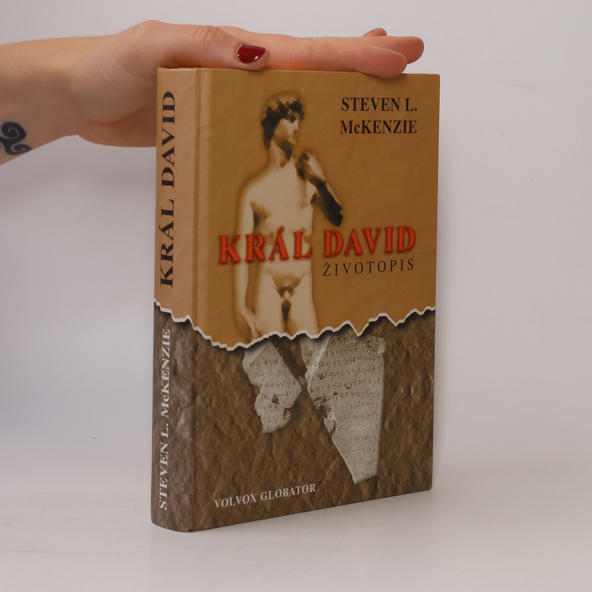 Steven L. McKenzie Král David : životopis