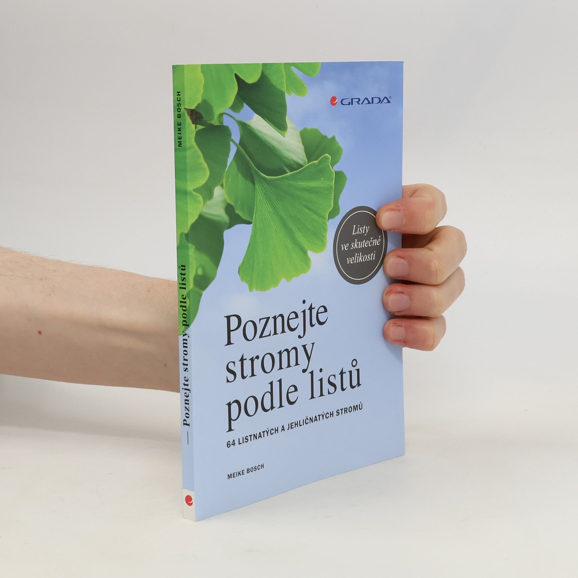 Meike Bosch Poznejte stromy podle listů