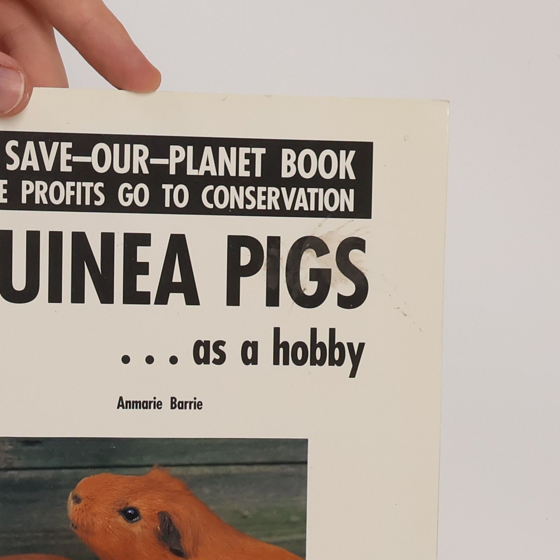 Anmarie Barrie Save-Our-Planet-Series: Guinea Pigs