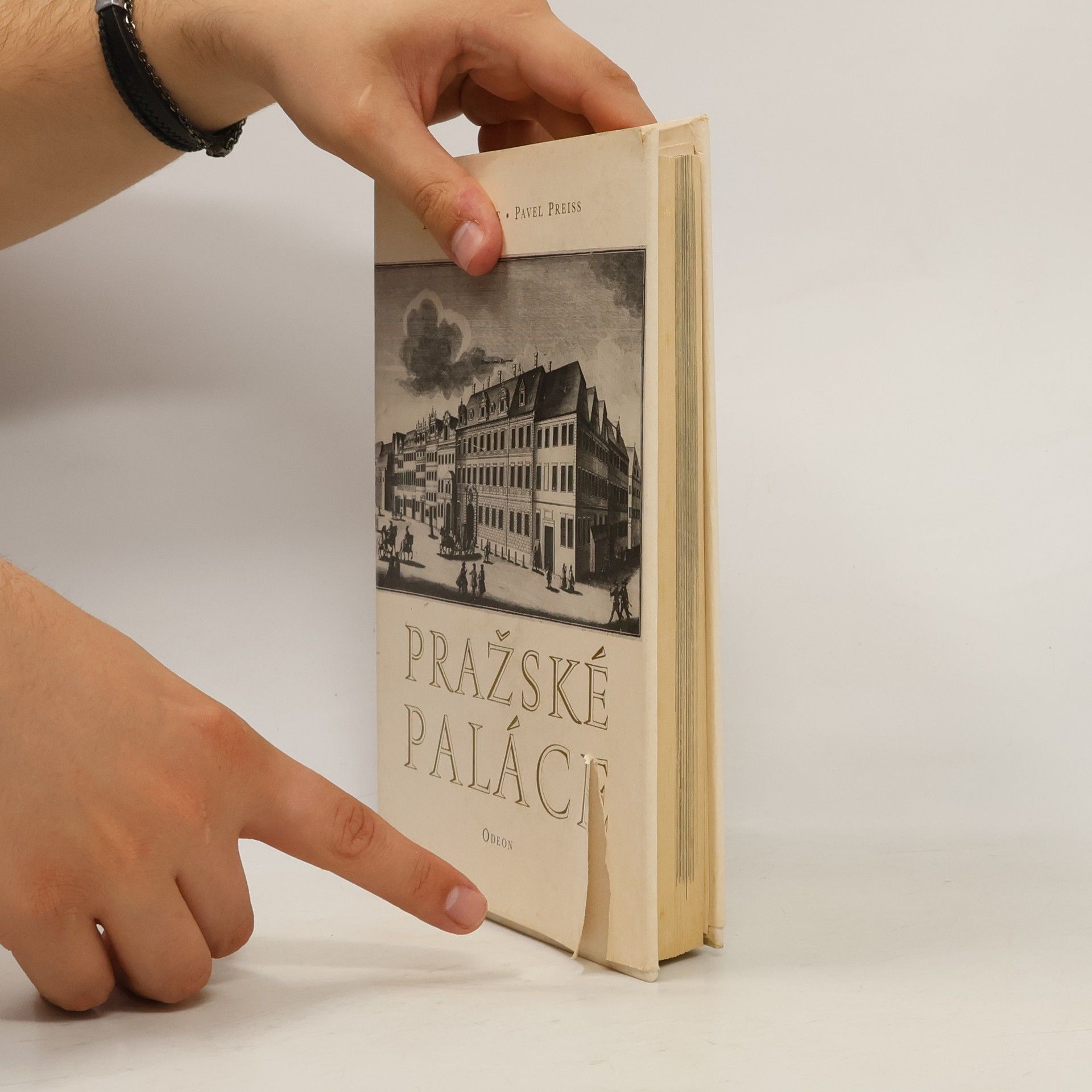 Emanuel Poche Pražské paláce