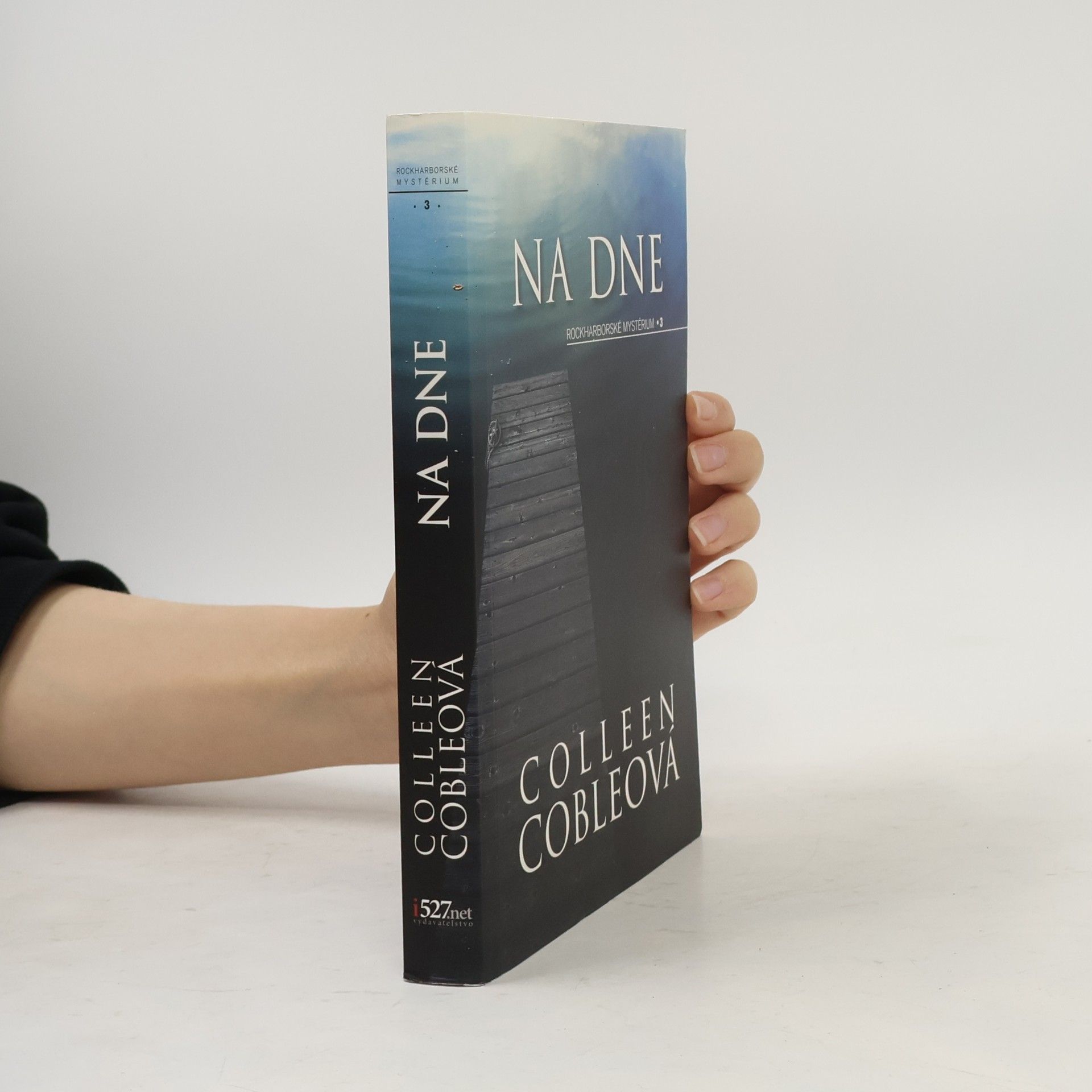 Colleen Coble Na dne
