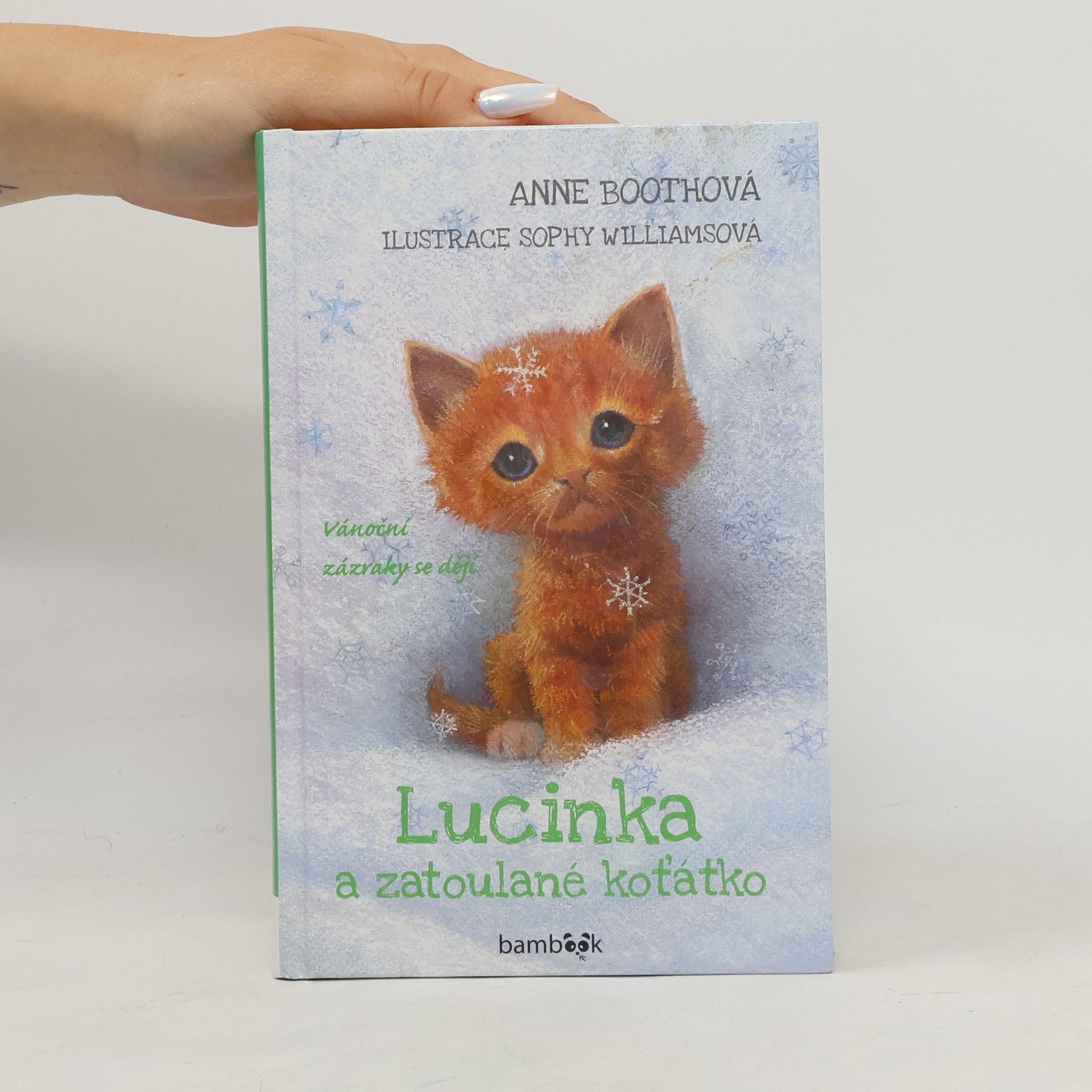 Anne Booth Lucinka a zatoulané koťátko
