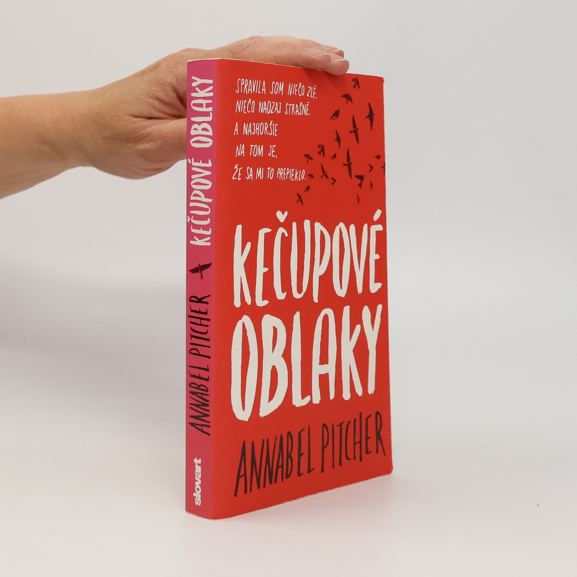 Annabel Pitcher Kečupové oblaky