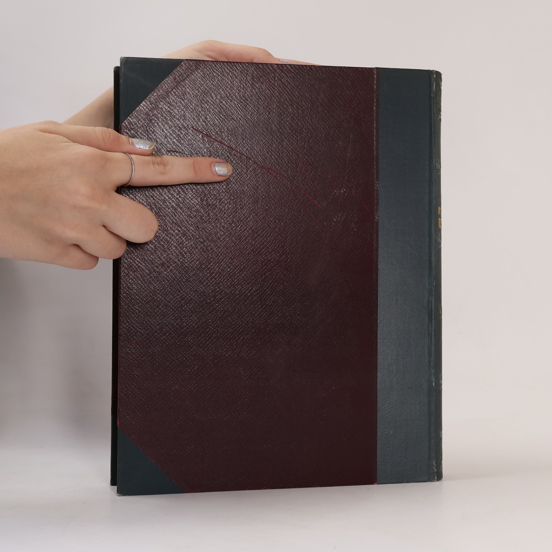 Various authors Die österreichisch-ungarische Monarchie in Wort und Bild