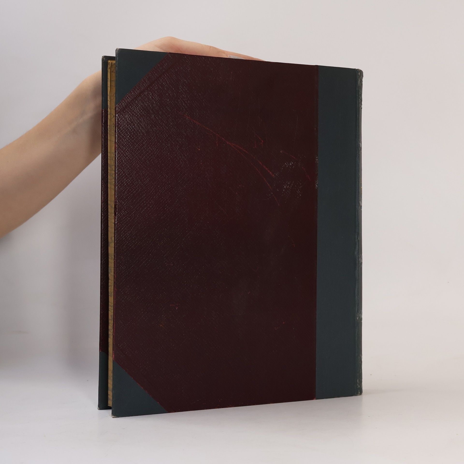 Various authors Die österreichisch-ungarische Monarchie in Wort und Bild