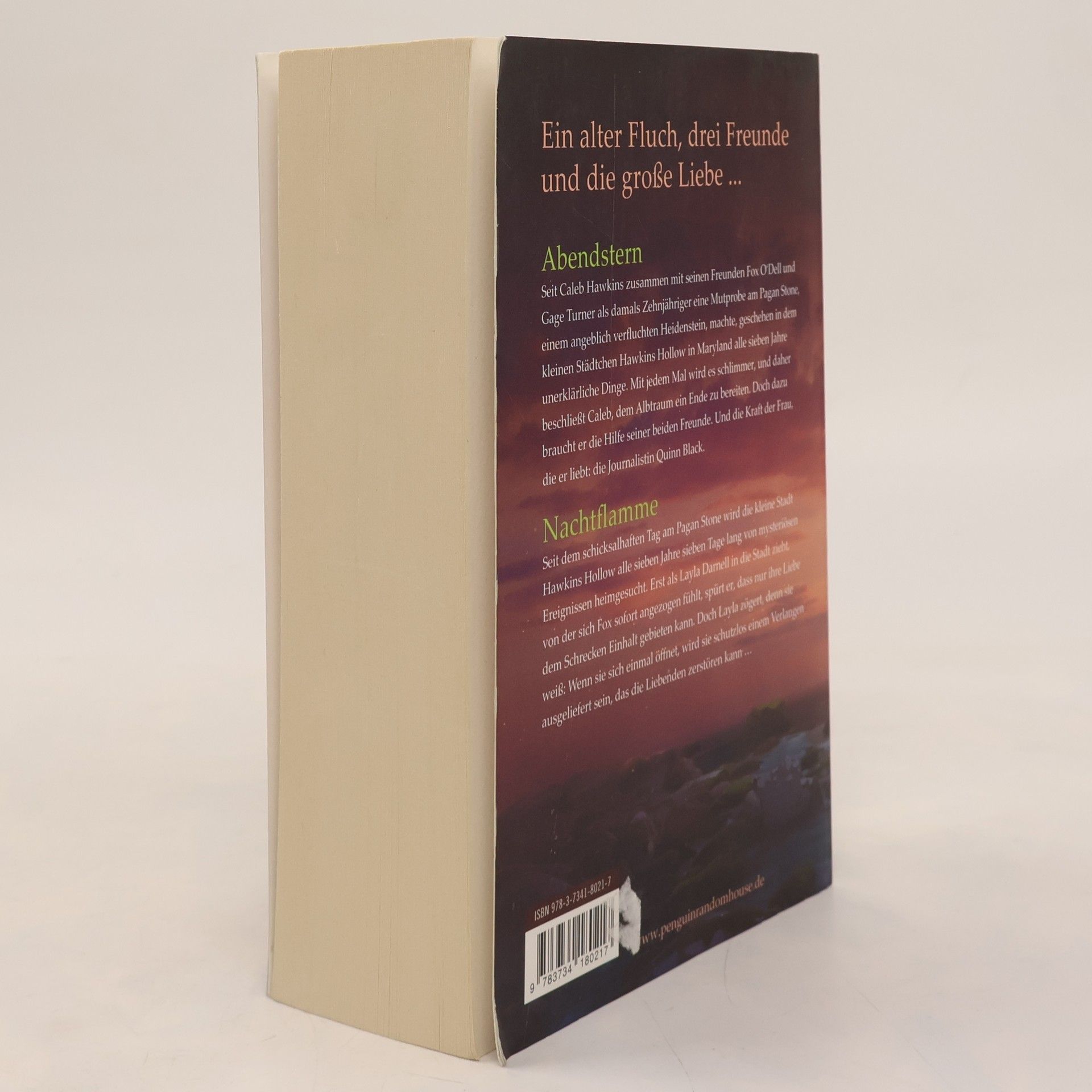 Nora Roberts Abendstern/Nachtflamme