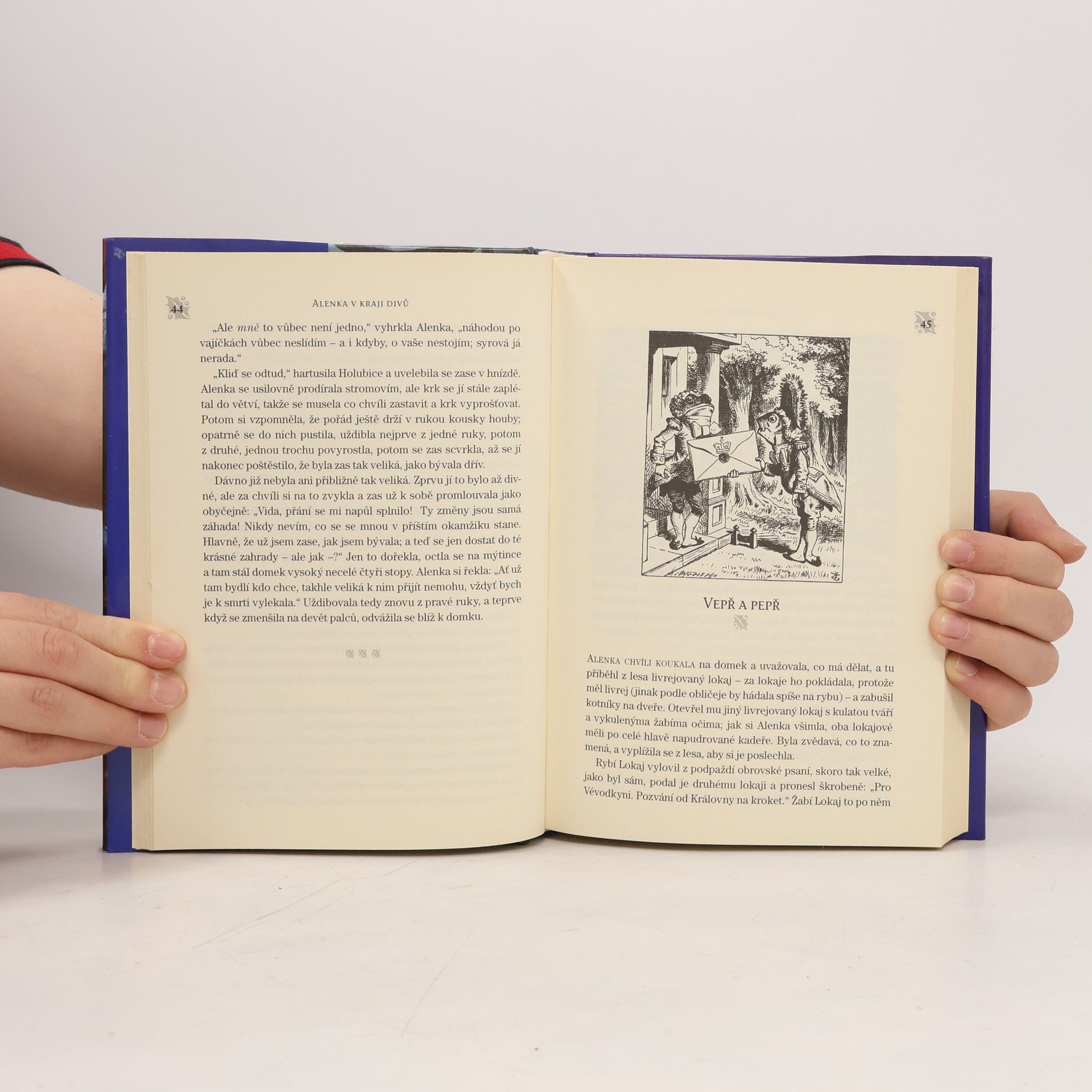 Lewis Carroll Alenka v kraji divů a za zrcadlem