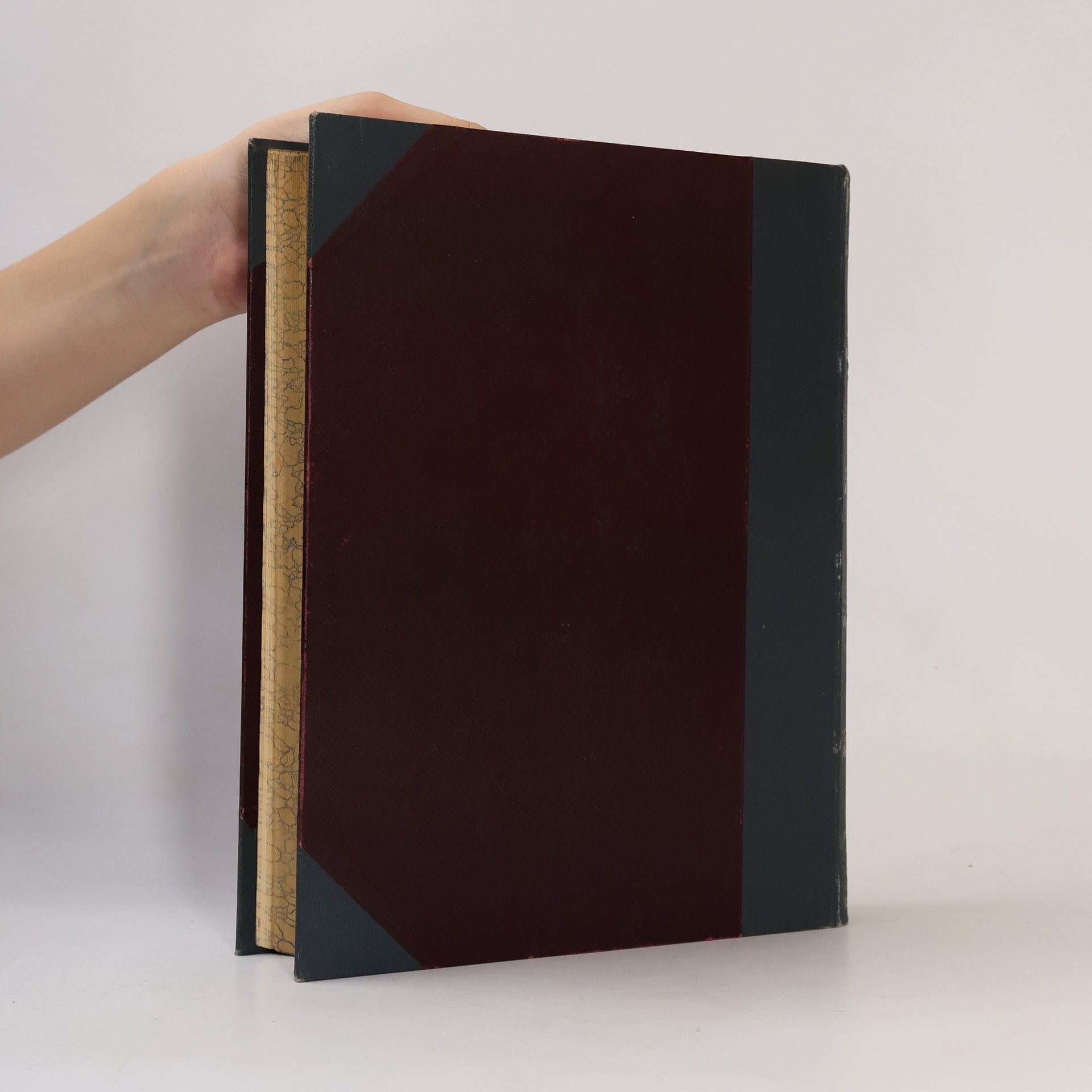 Various authors Die österreichisch-ungarische Monarchie in Wort und Bild. Galizien