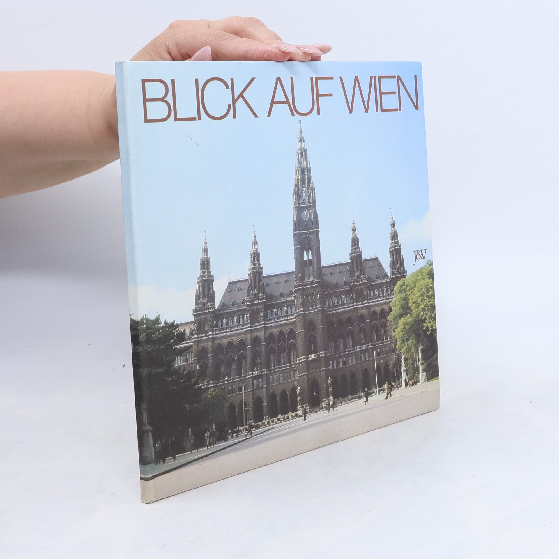 Auteurscollectief Blick auf Wien