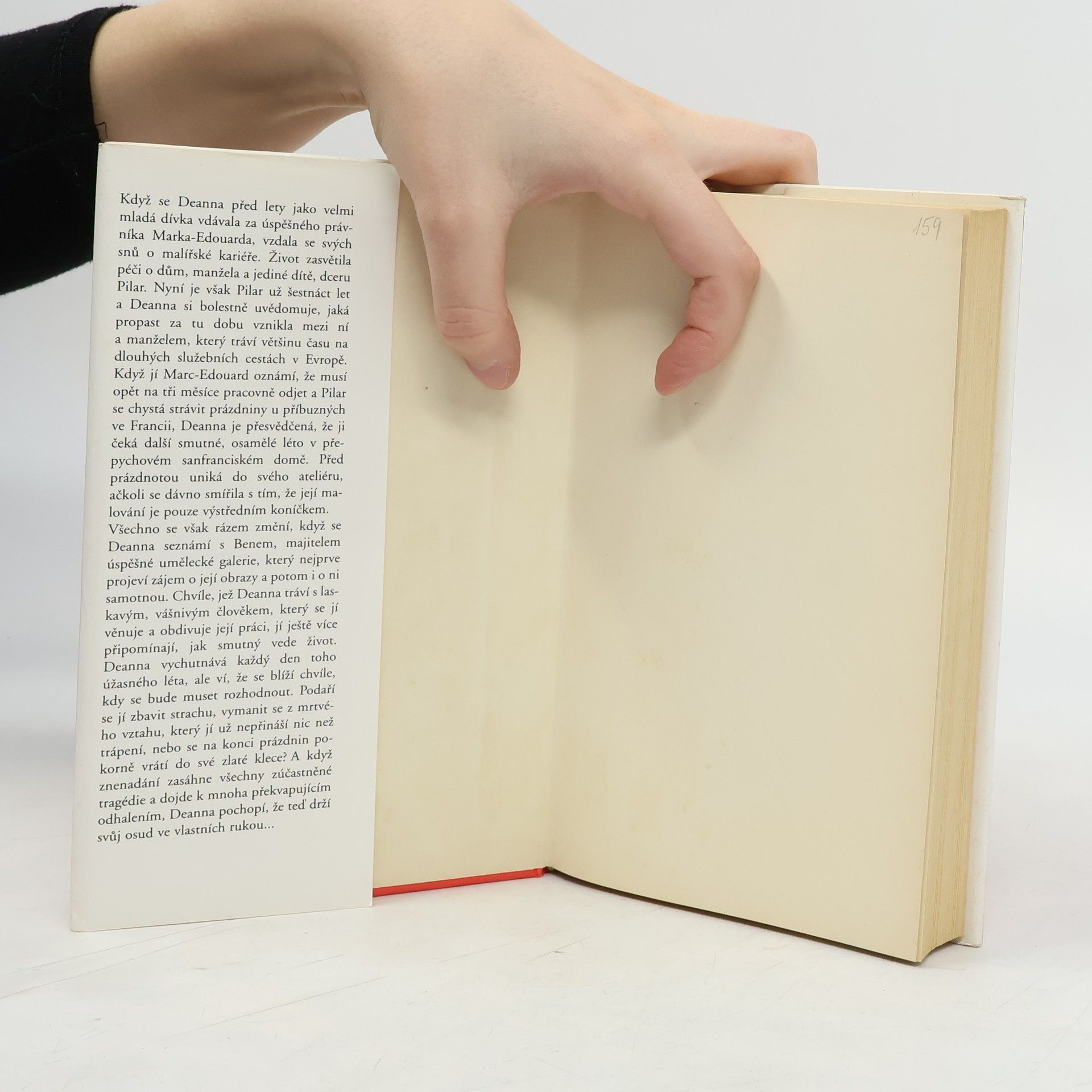 Danielle Steel Konec léta
