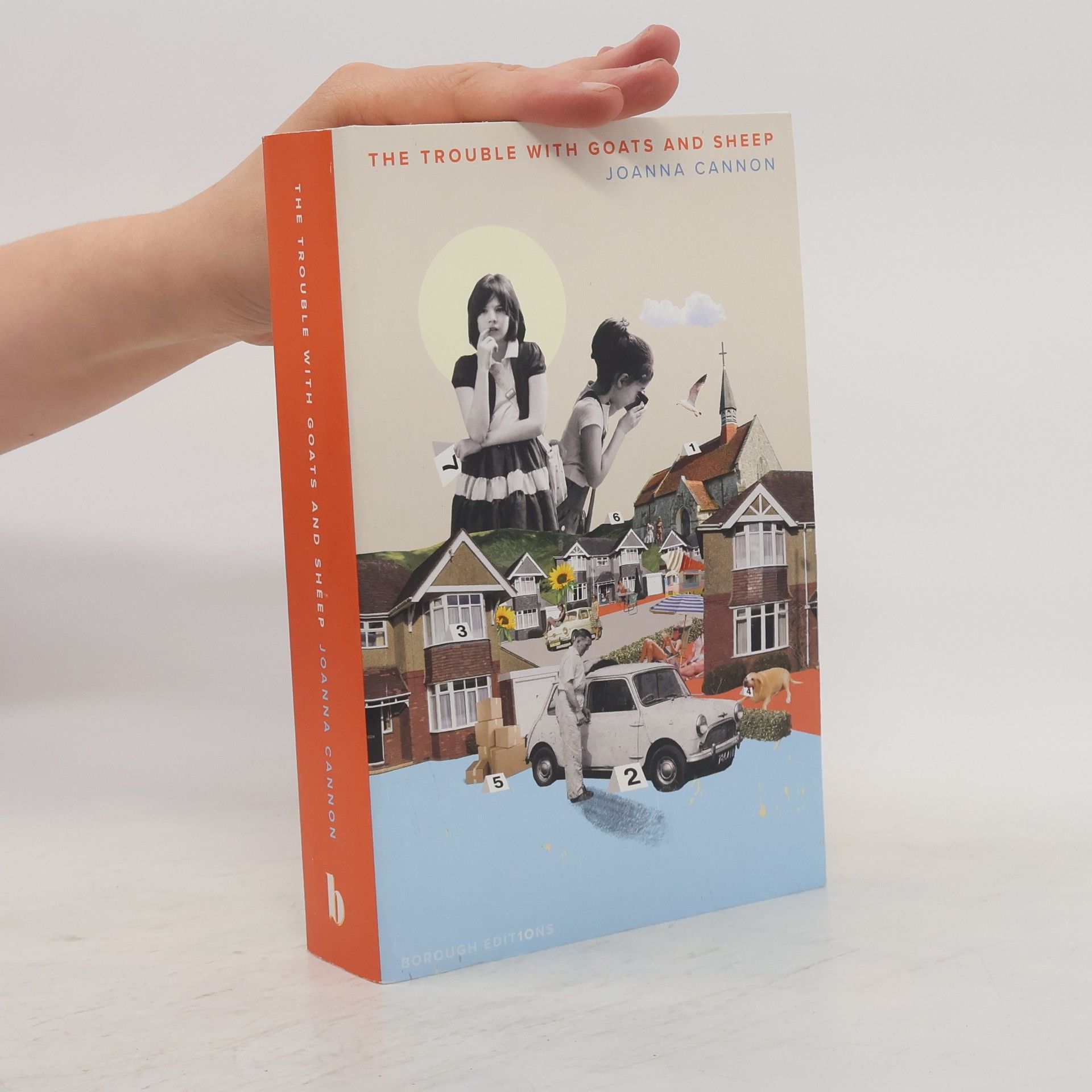 Joanna Cannon The Trouble with Goats and Sheep
