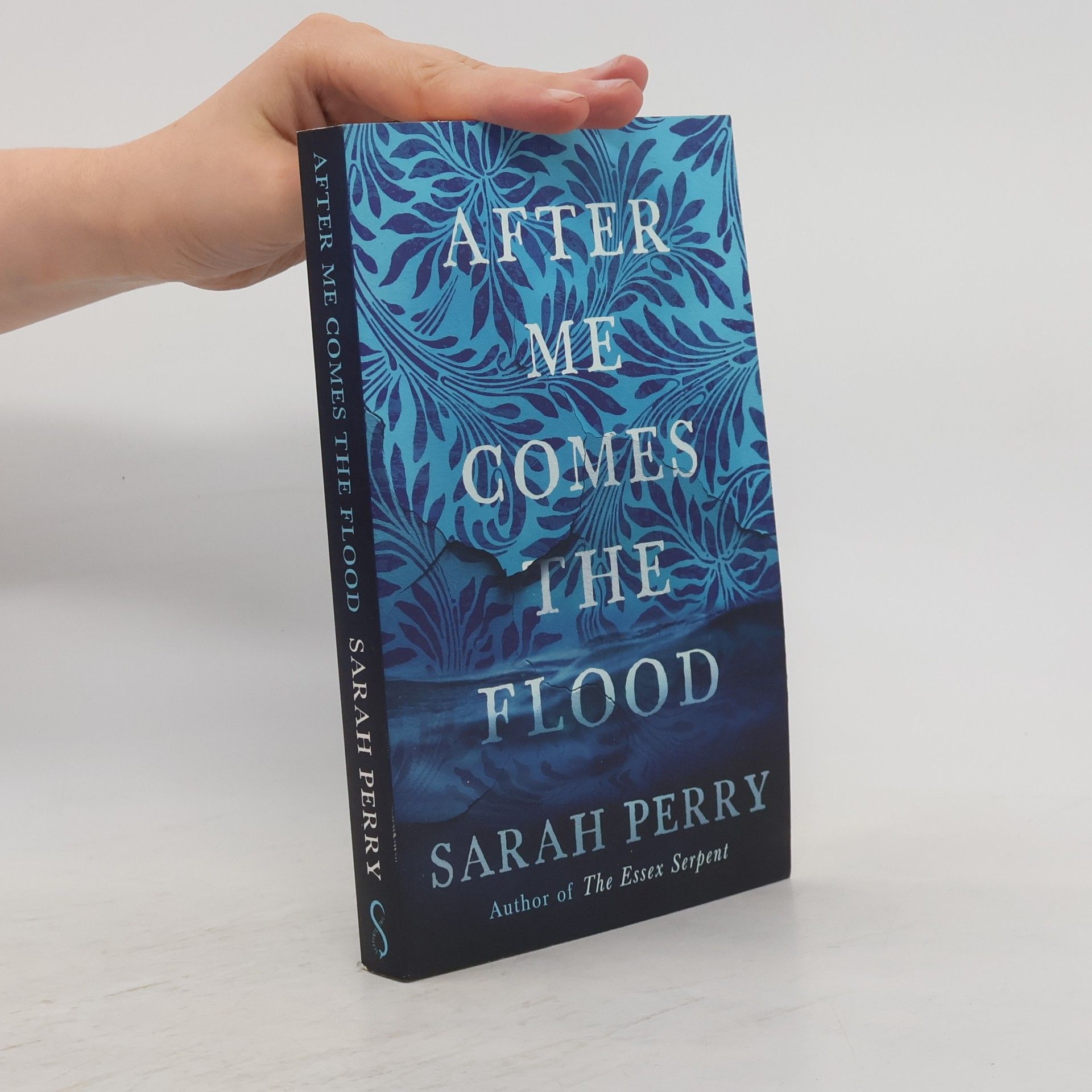Sarah Perry After me comes the flood