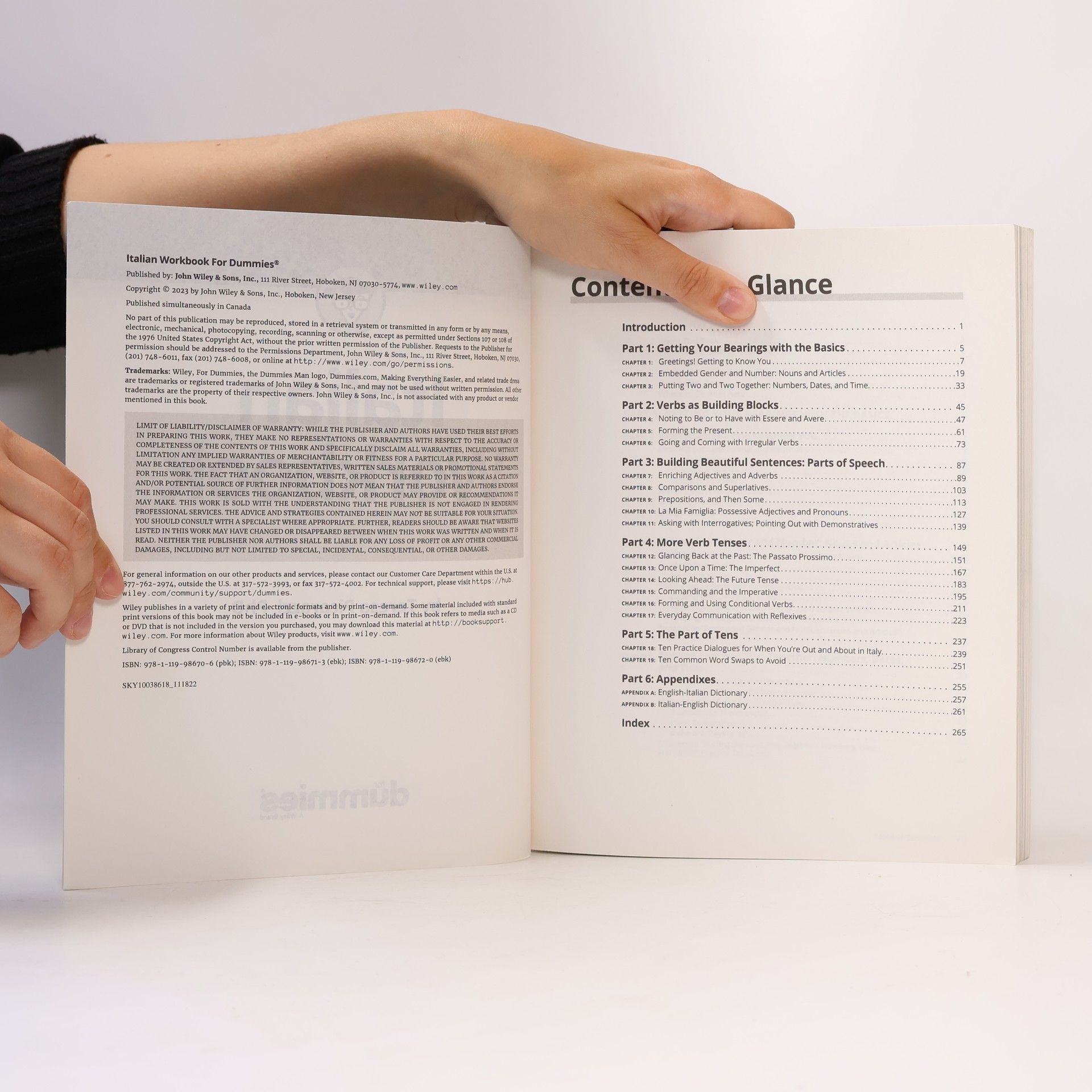 Teresa L. Picarazzi Italian Workbook For Dummies