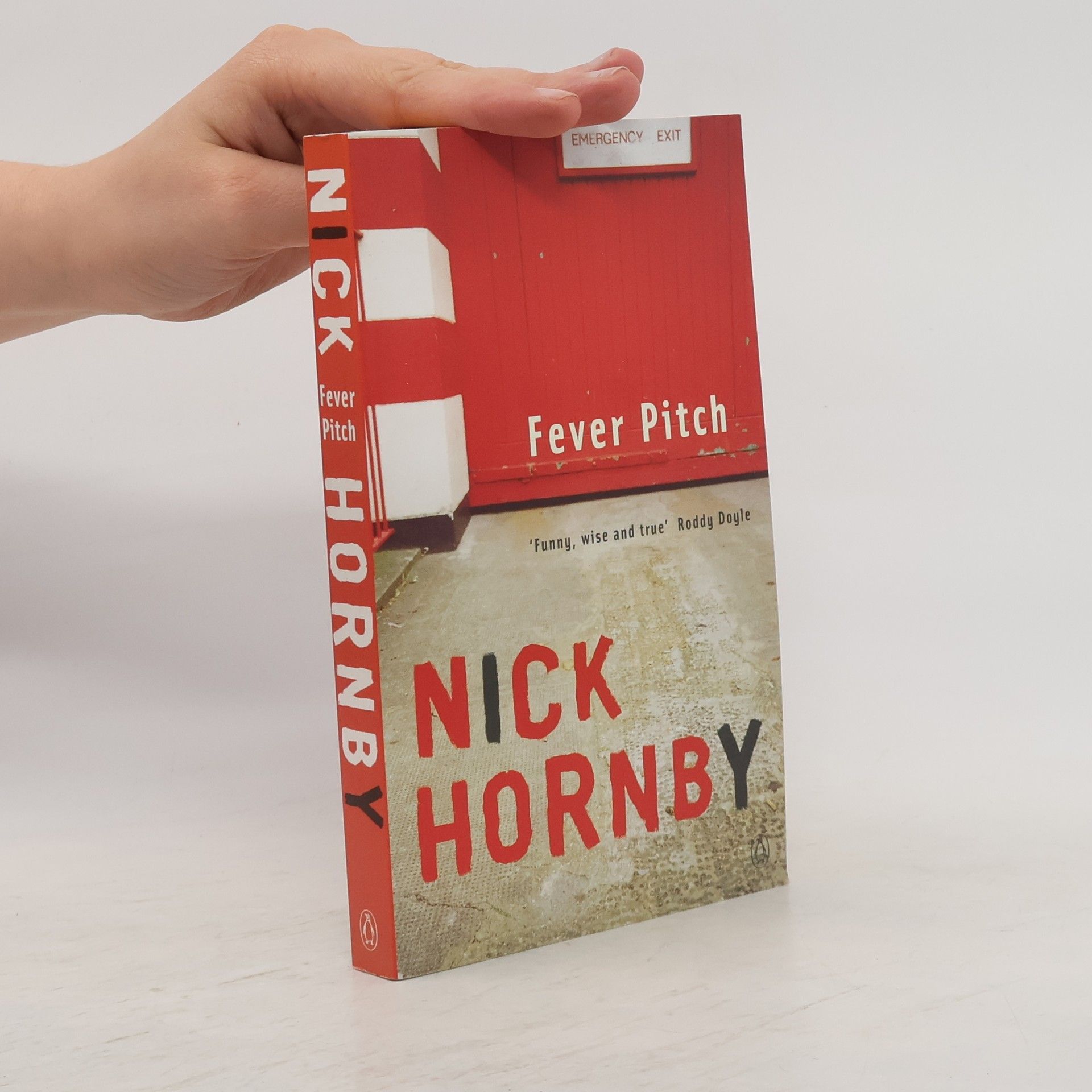 Nick Hornby Fever pitch