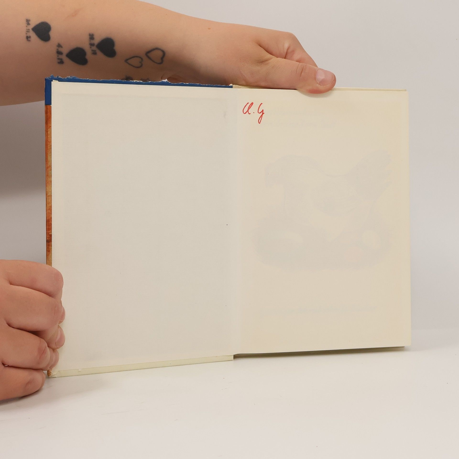 Bruno Horst Bull Das Wunderhuhn