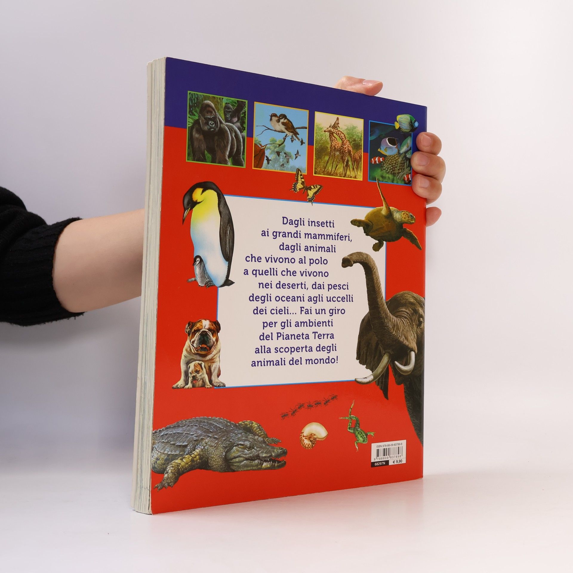 Autorenkollektiv Tutto per le mie ricerche. Gli animali