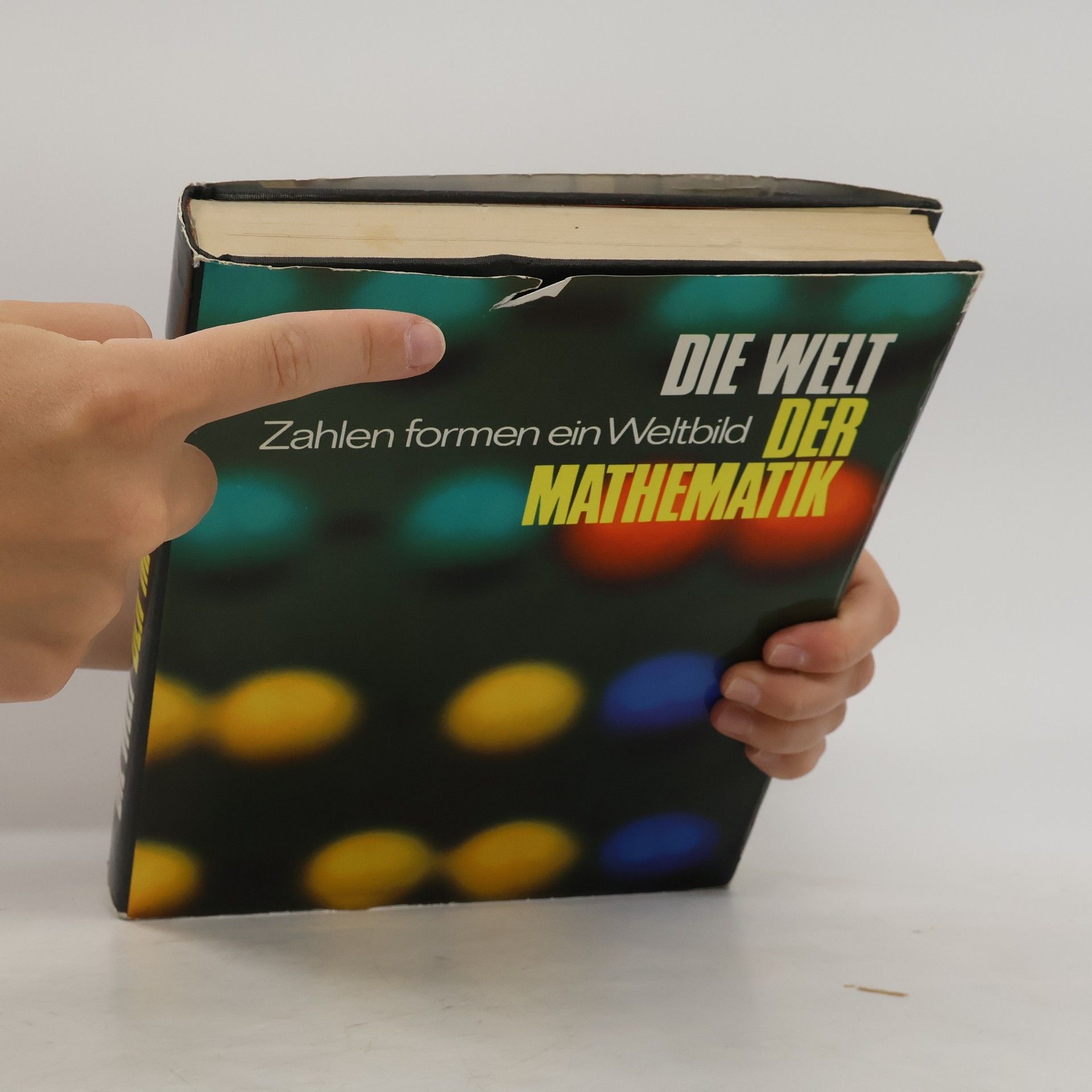 Auteurscollectief Die Welt der Mathematik