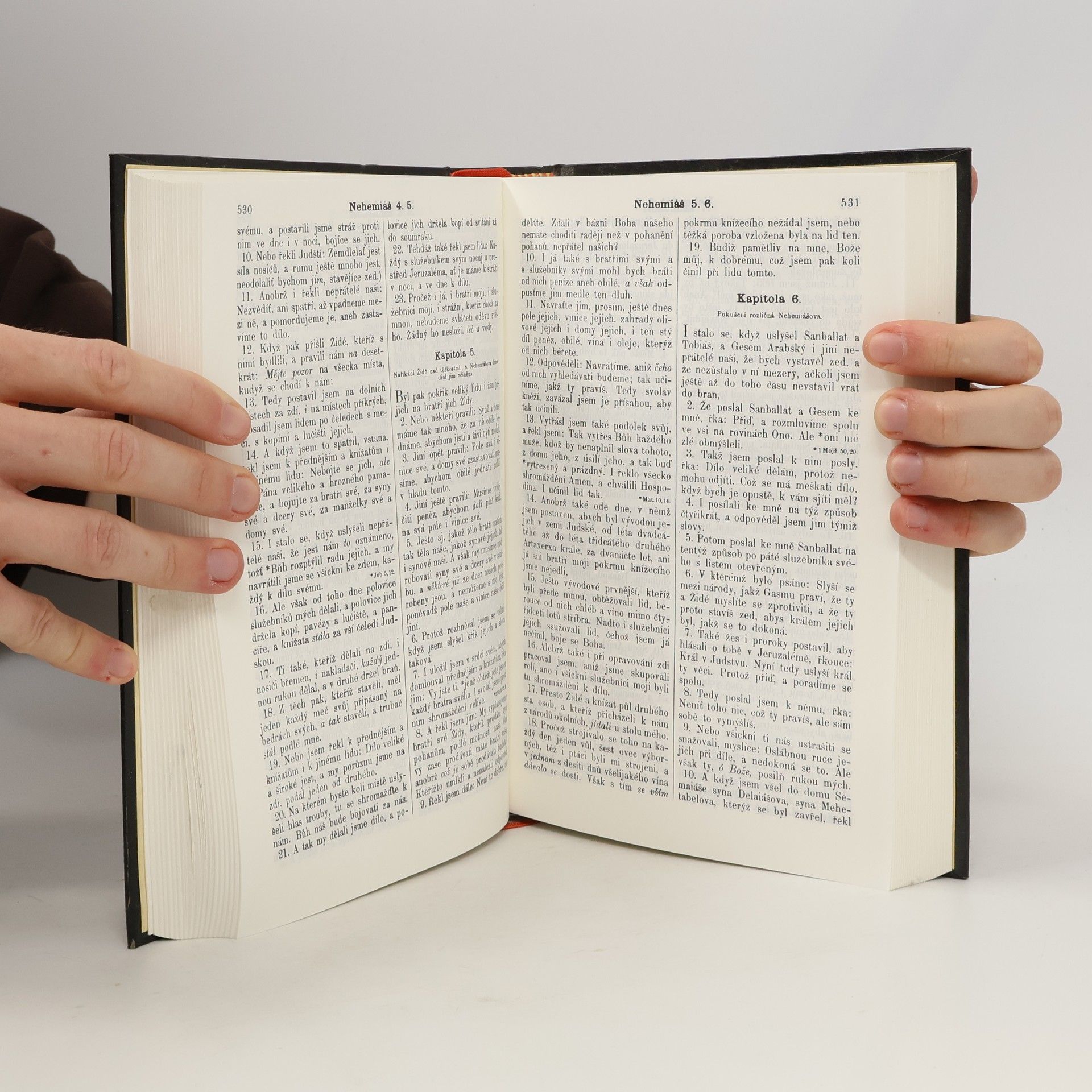 Kolektiv autorů Bible svatá