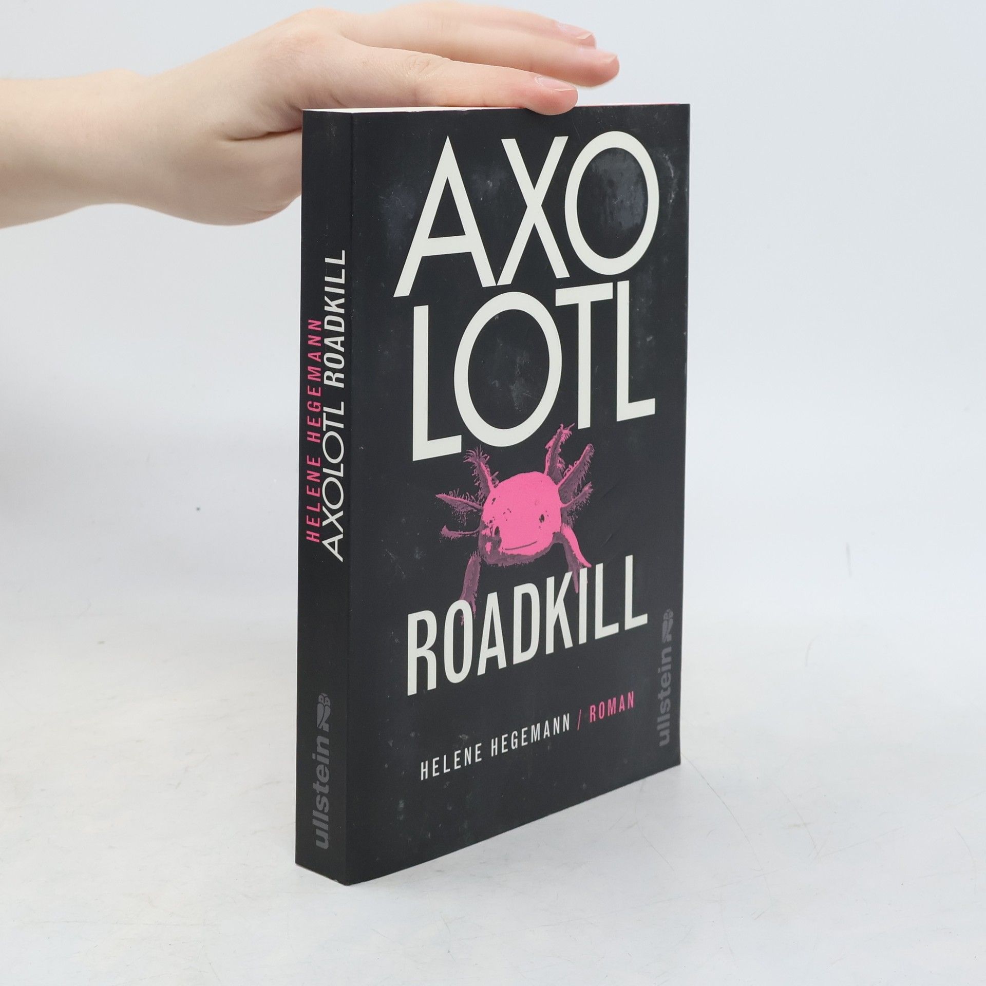 Helene Hegemann Axolotl Roadkill : Roman