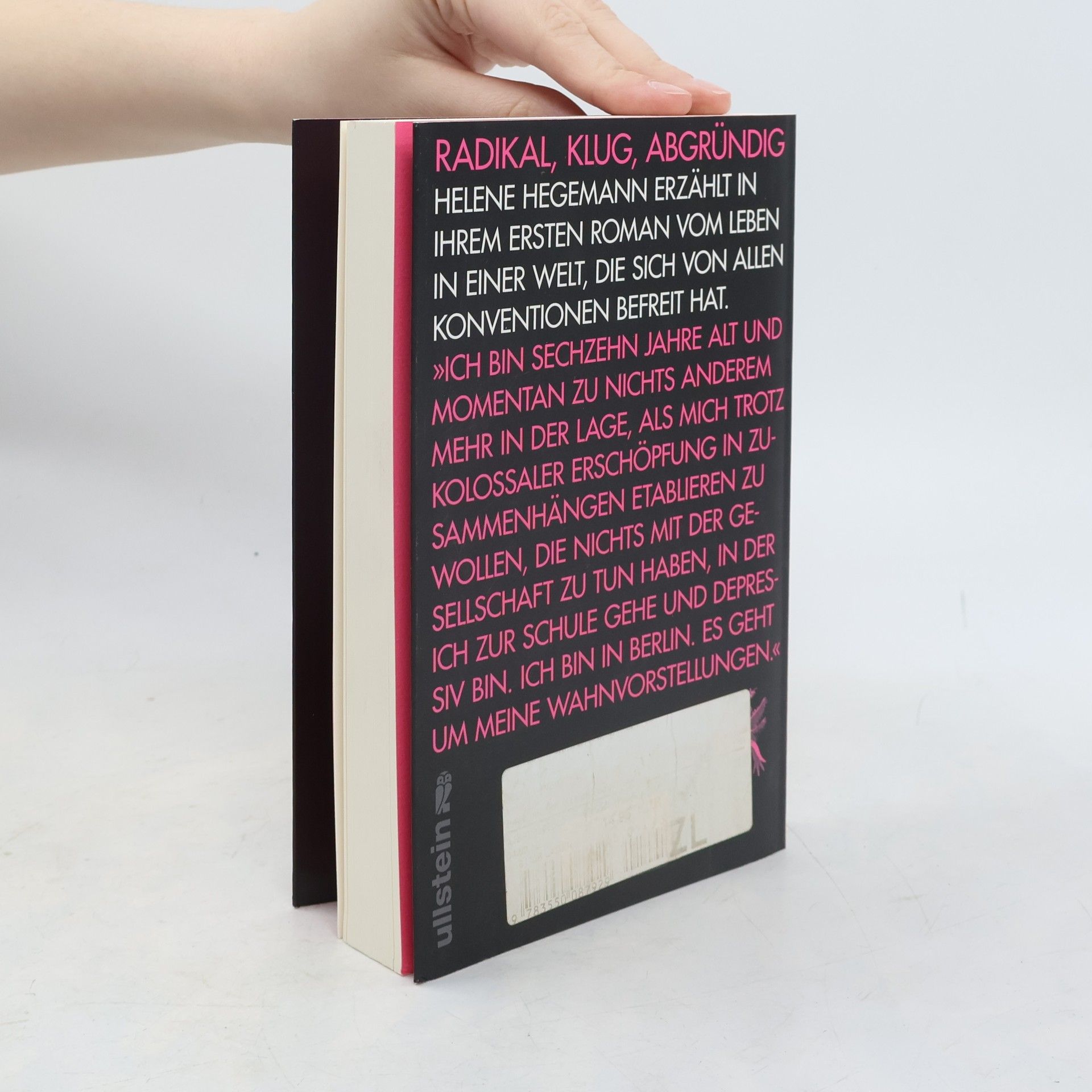Helene Hegemann Axolotl Roadkill : Roman
