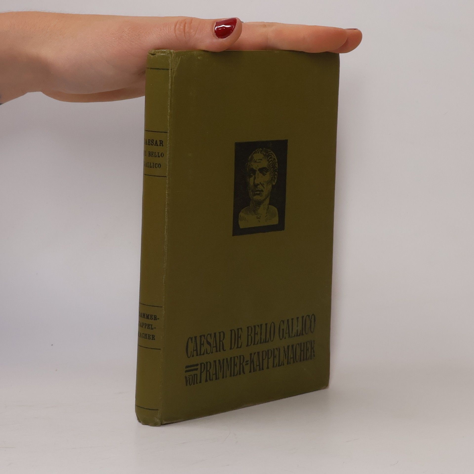 Autorenkollektiv Caesar de Bello Gallico