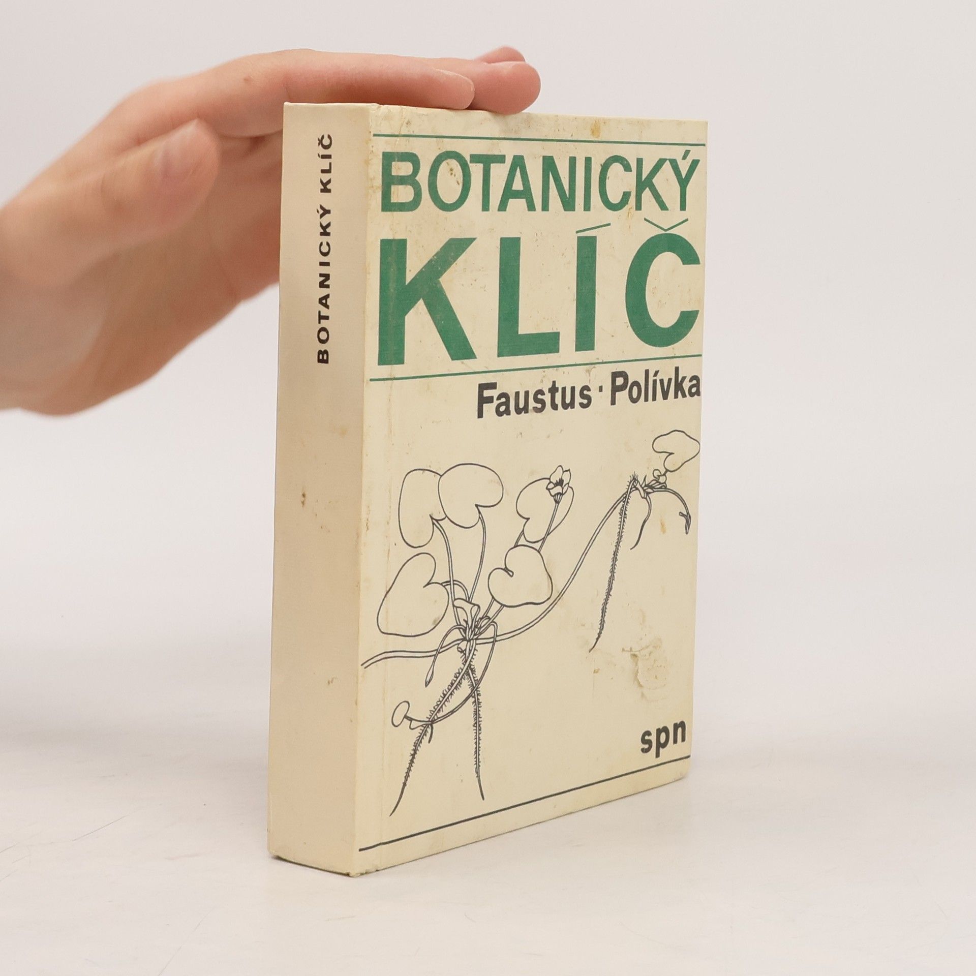 Botanický klíč