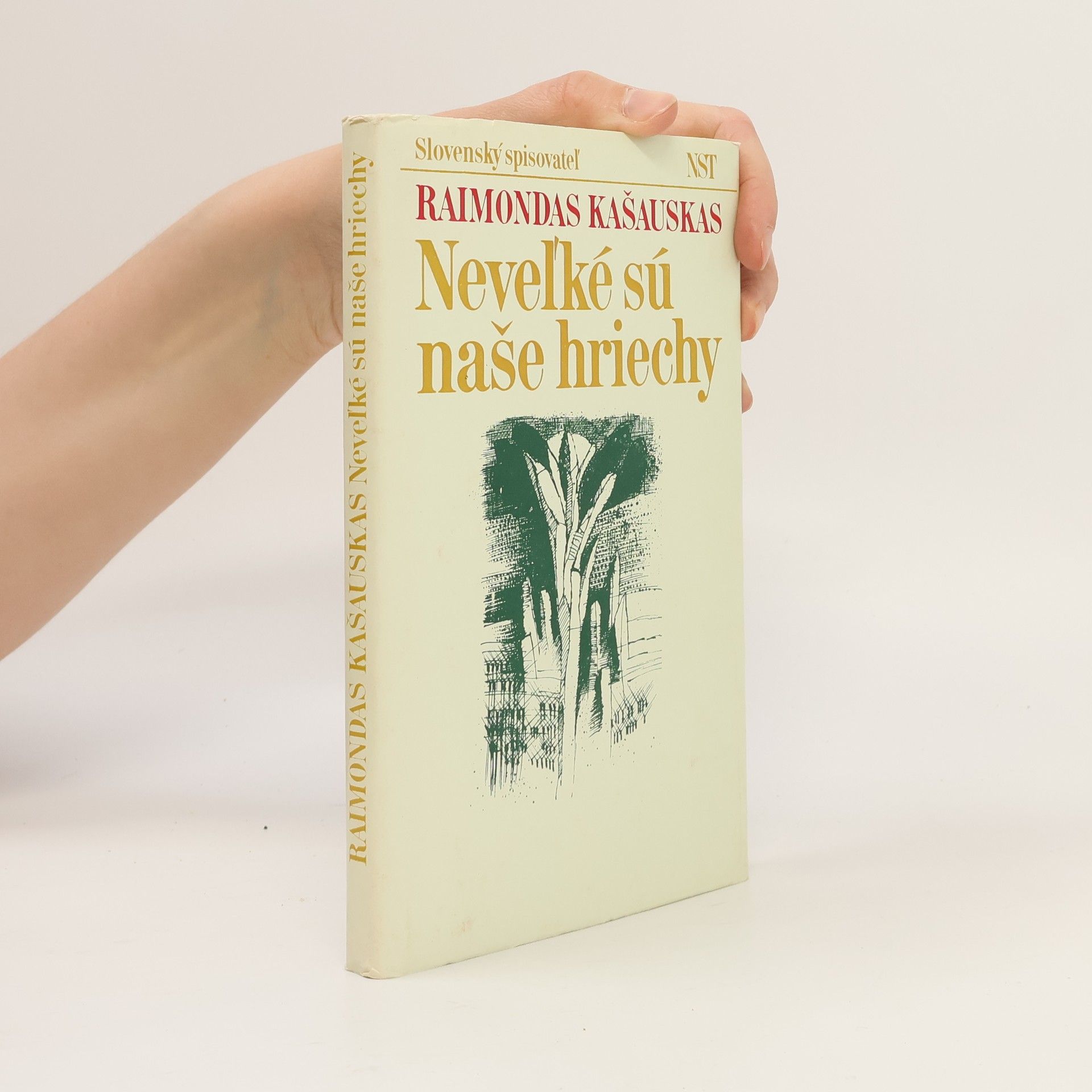 Kašauskas Raimond Neveľké sú naše hriechy