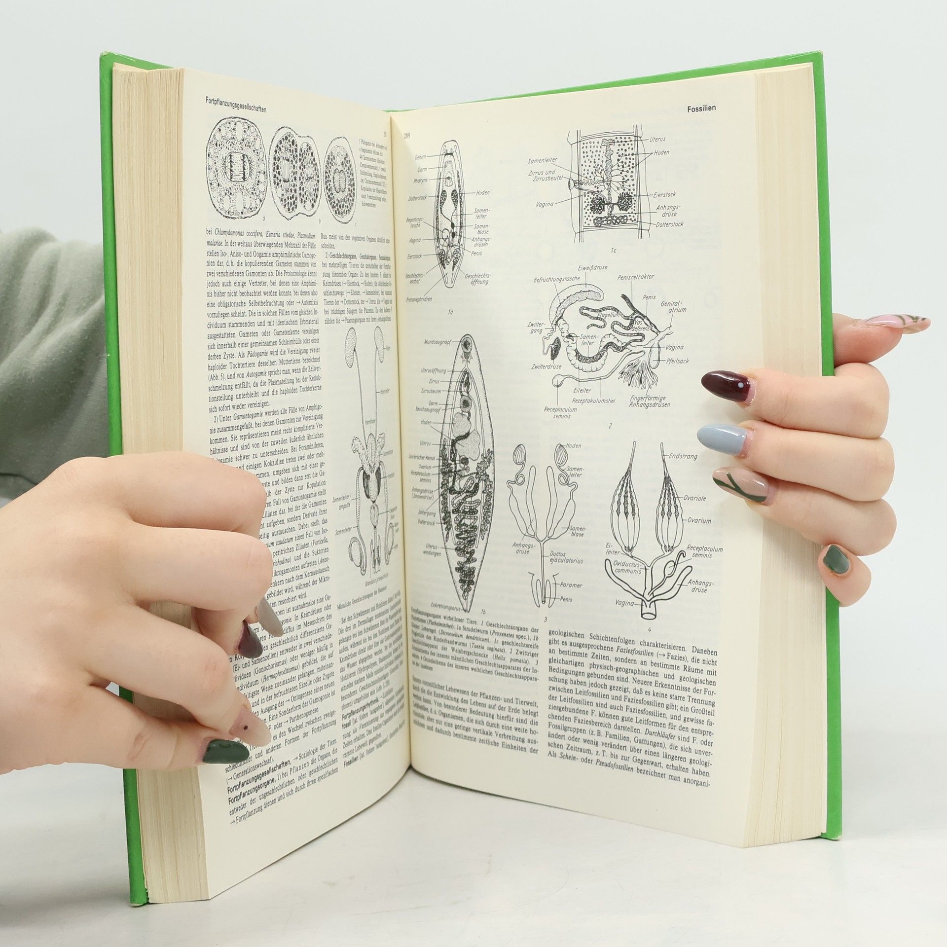 Kolektiv autorů Brockhaus-ABC Biologie. Band 1