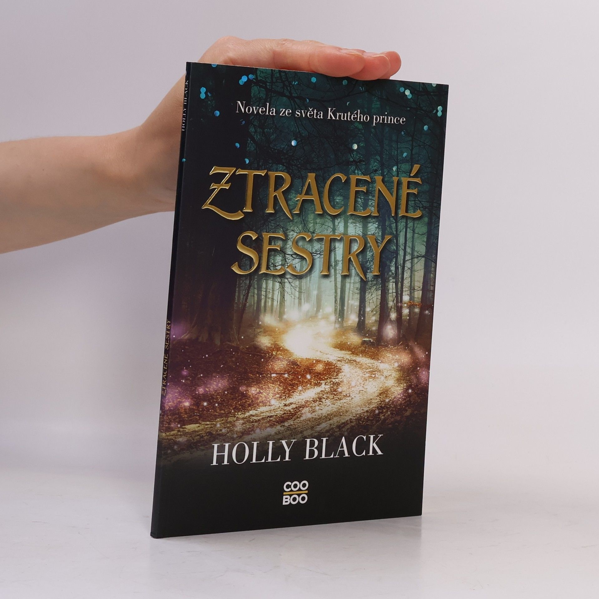 Holly Black Ztracené sestry